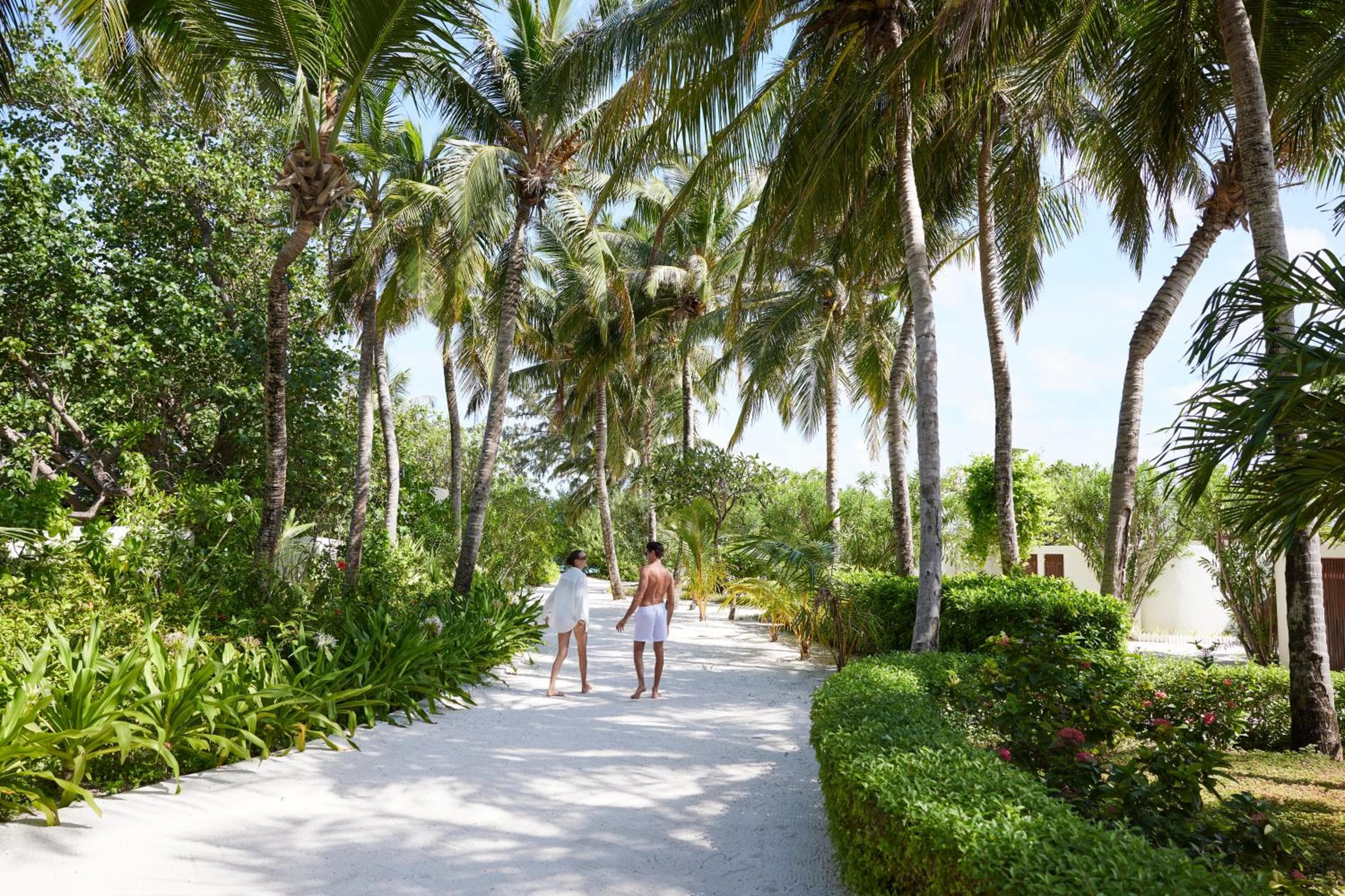 Centara Ras Fushi Resort & Spa Maldives - 50 percent discount on transfers for min 4 nights stay and more, valid for reservations between 11th Feb till 22  - View 91