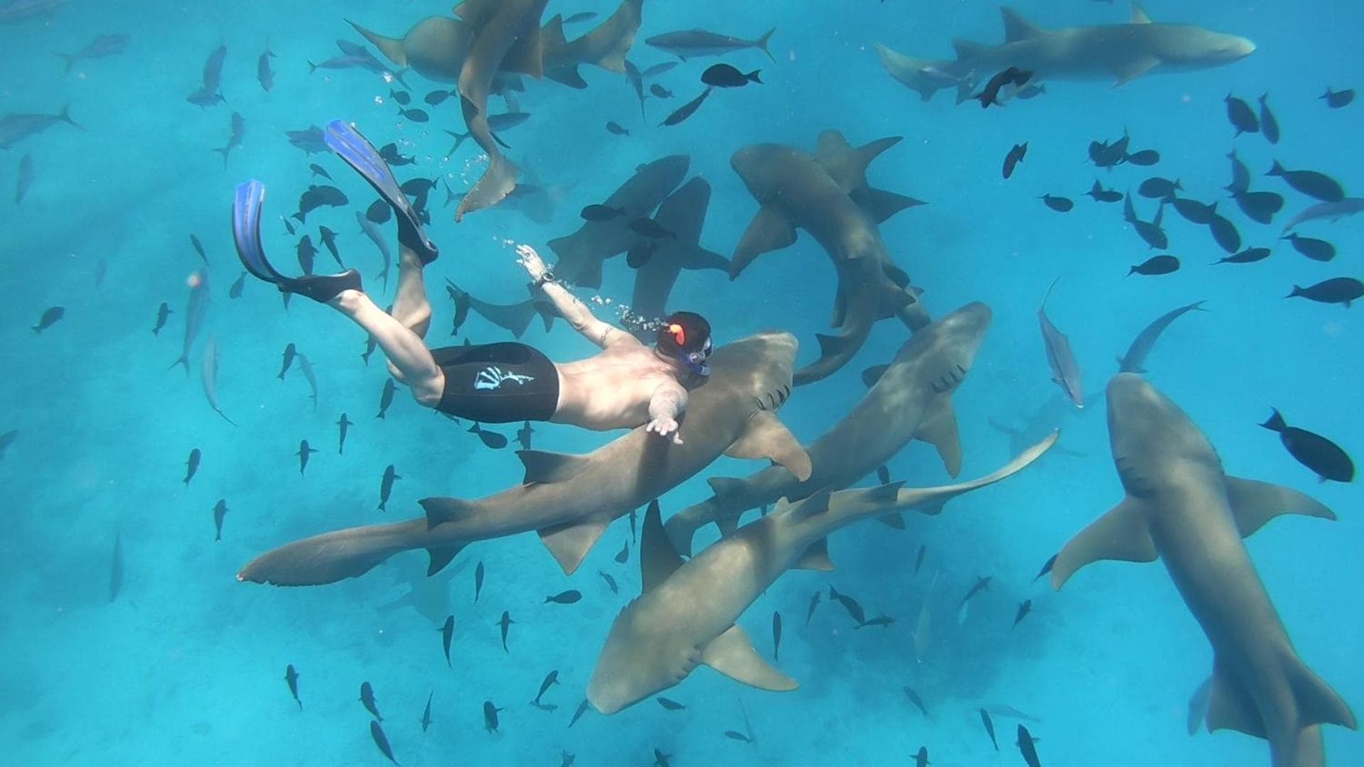 Masfalhi View Inn - View 23