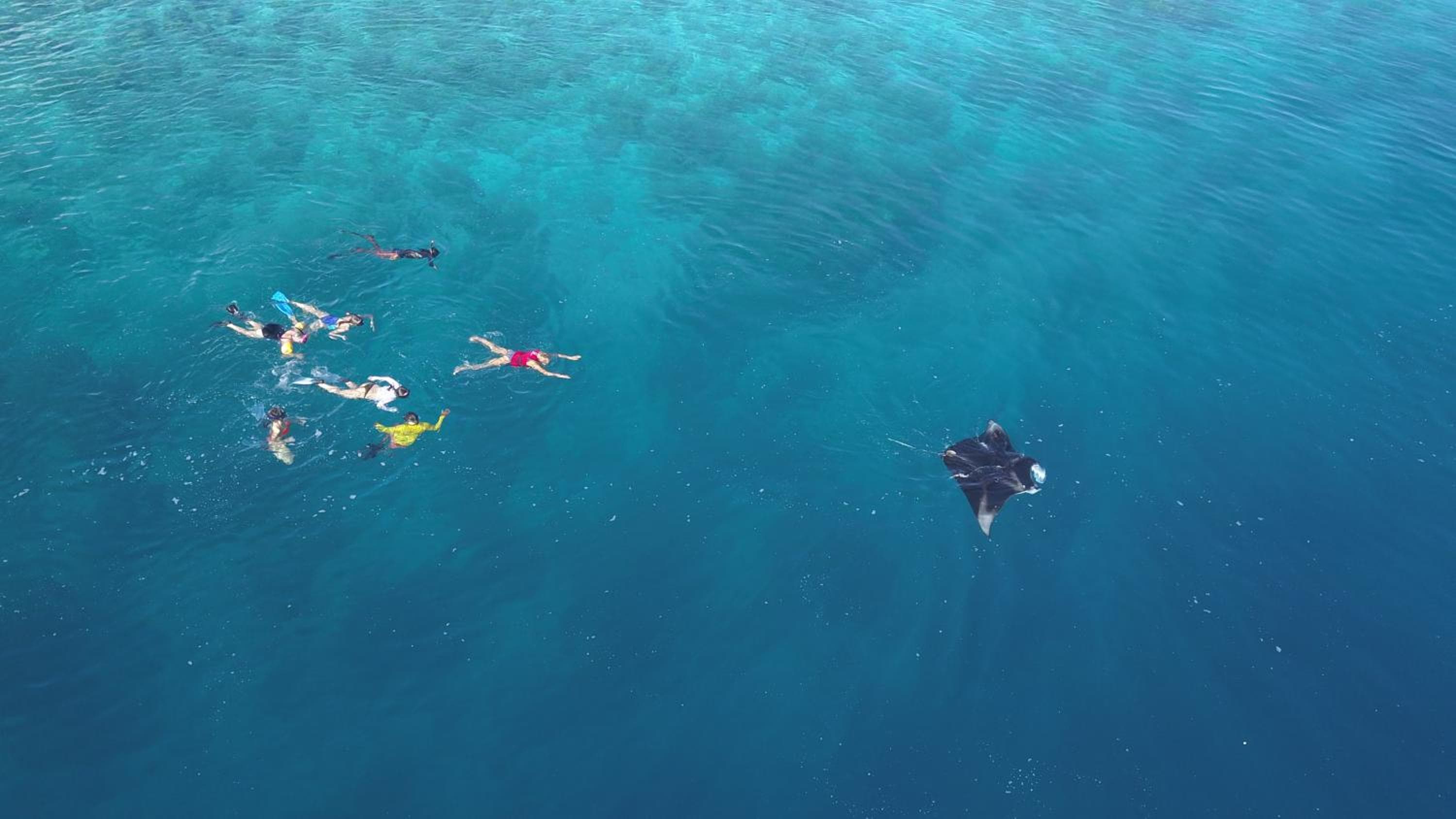 Salt Villa Ukulhas - View 44