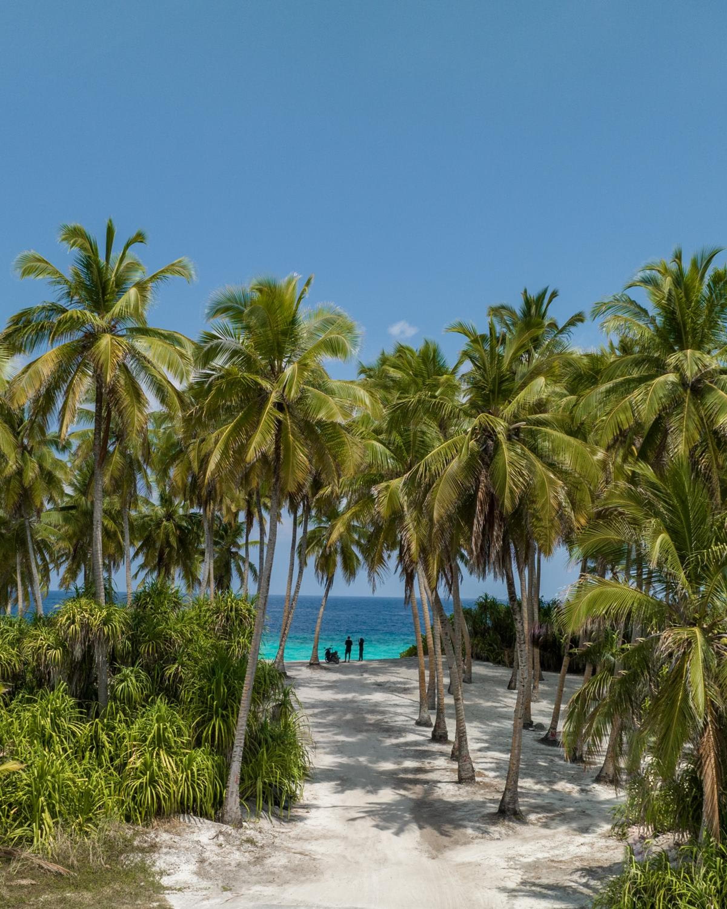 Ataraxis Grand and Spa Fuvahmulah - View 53