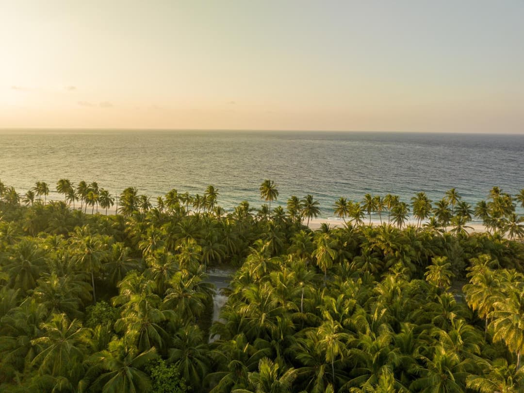 Ataraxis Grand and Spa Fuvahmulah - View 44