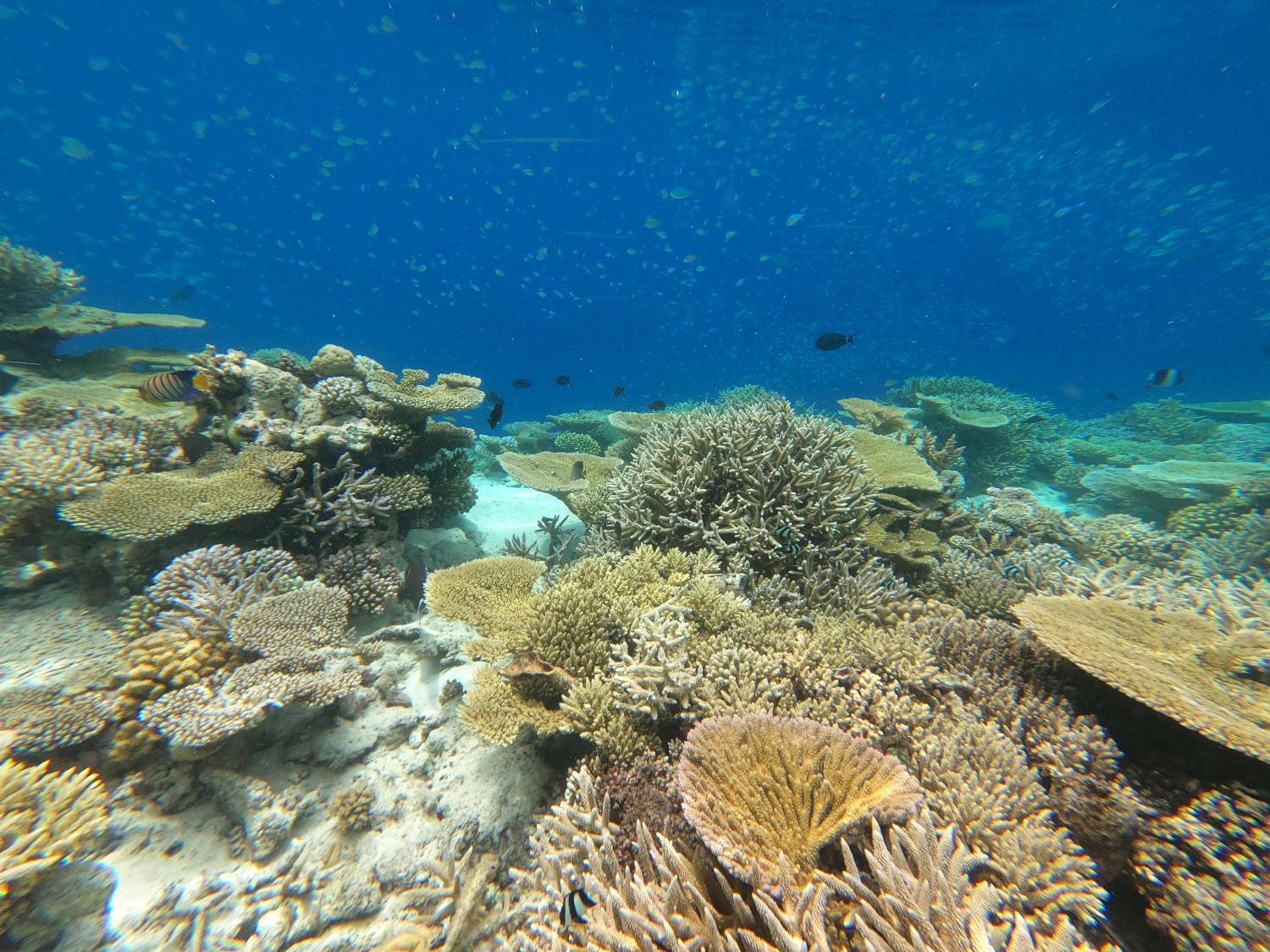 SeaLaVie Inn - View 36