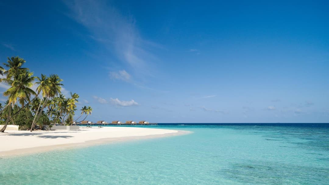 Park Hyatt Maldives Hadahaa - View 260