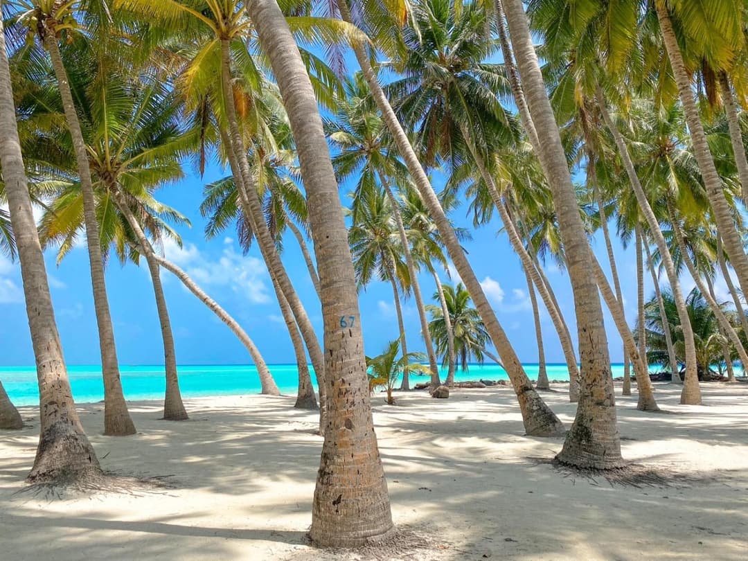 Captal Island Villa - View 38