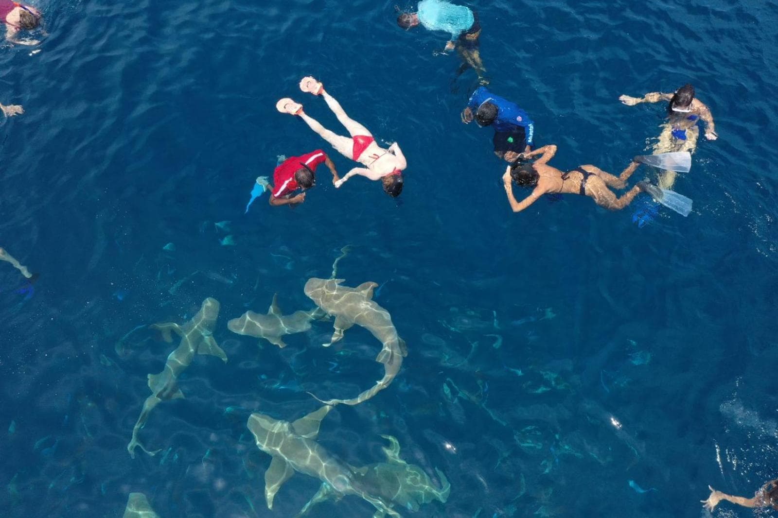 Summer Sky Thoddoo - View 76