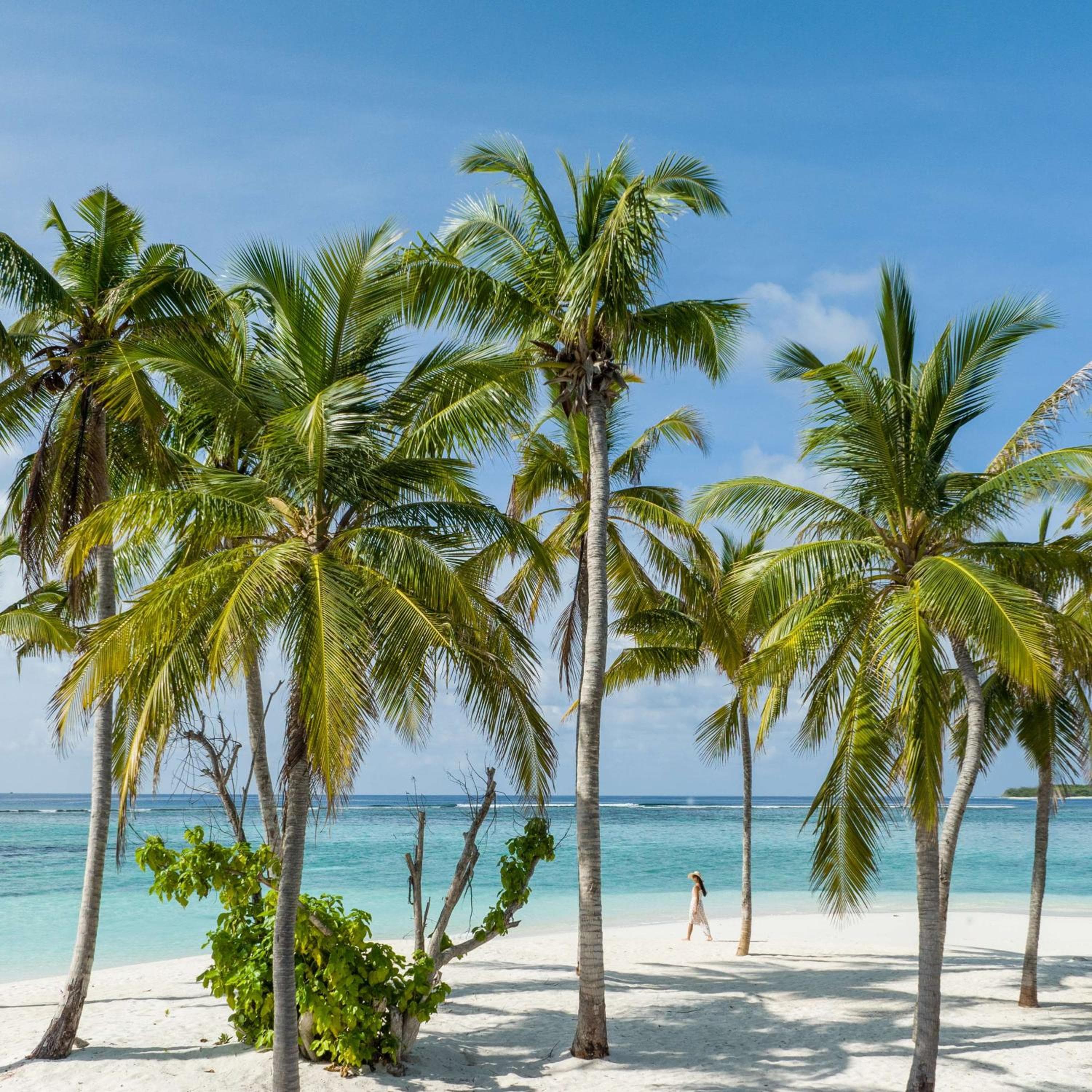 Alila Kothaifaru Maldives - View 50