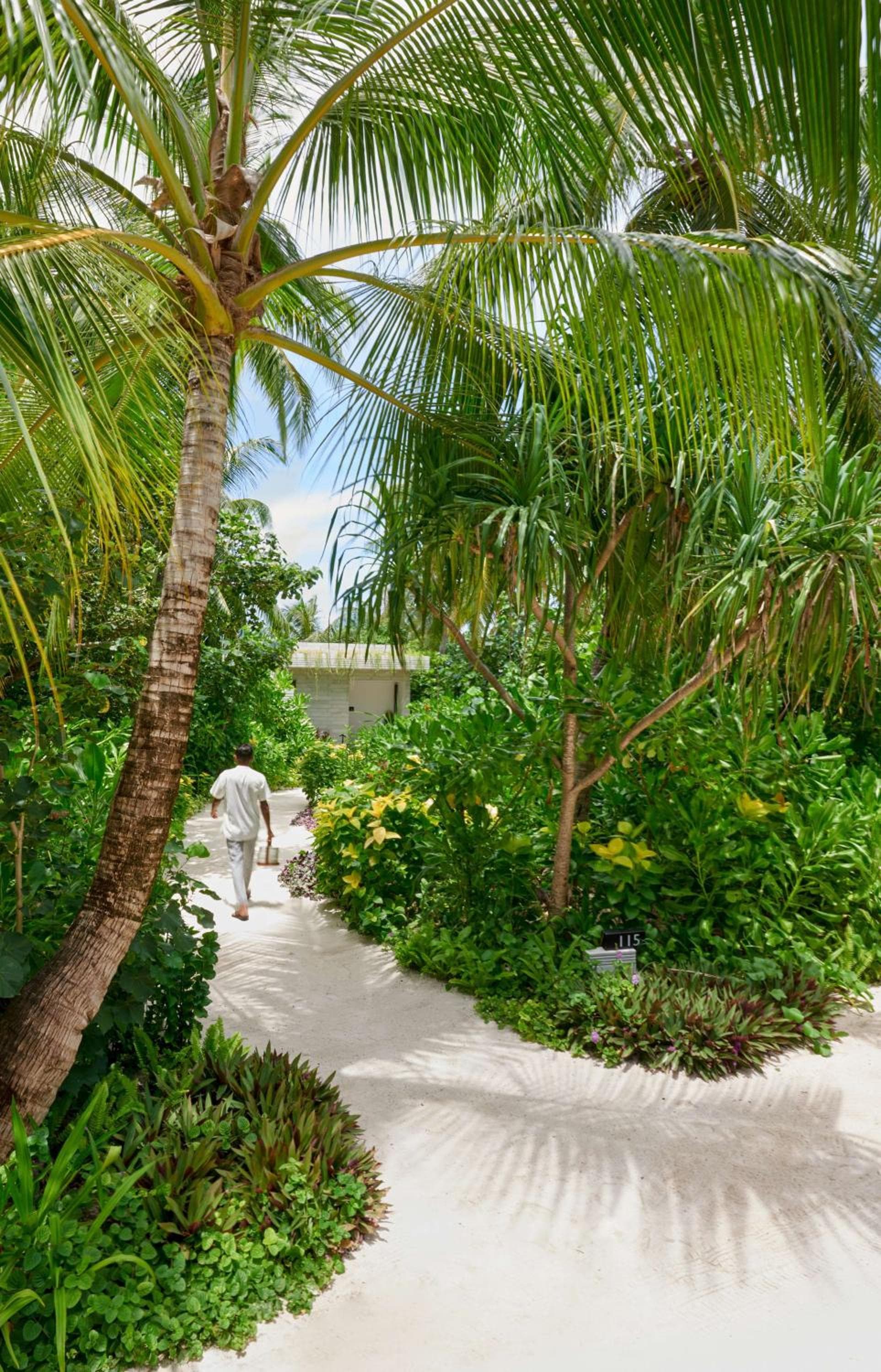 Alila Kothaifaru Maldives - View 60