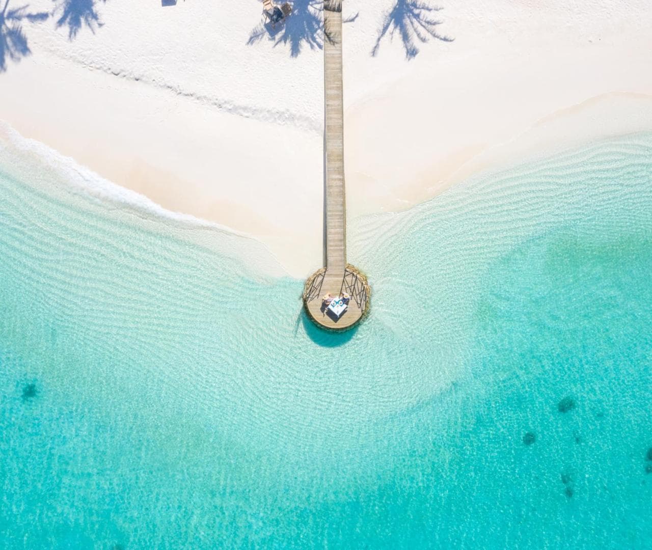 Fushifaru Maldives with 50 percent off on sea plane roundtrip 04 nights & above - View 37