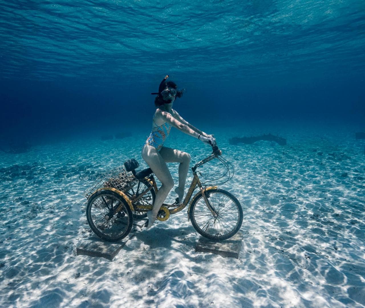 Fushifaru Maldives with 50 percent off on sea plane roundtrip 04 nights & above - View 53