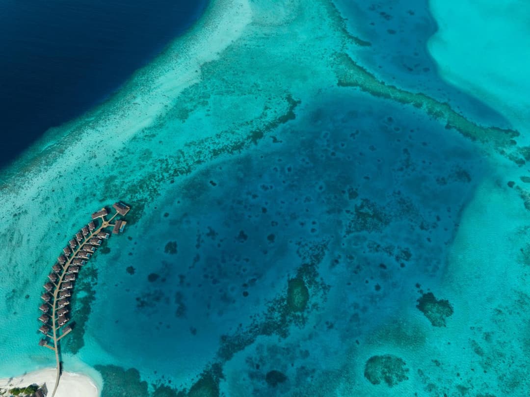 Avani Plus Fares Maldives Resort - View 70