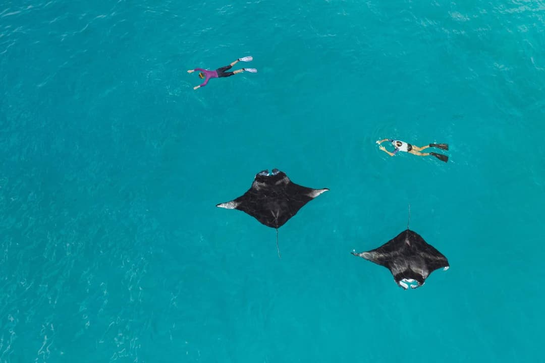 The Westin Maldives Miriandhoo Resort - View 96