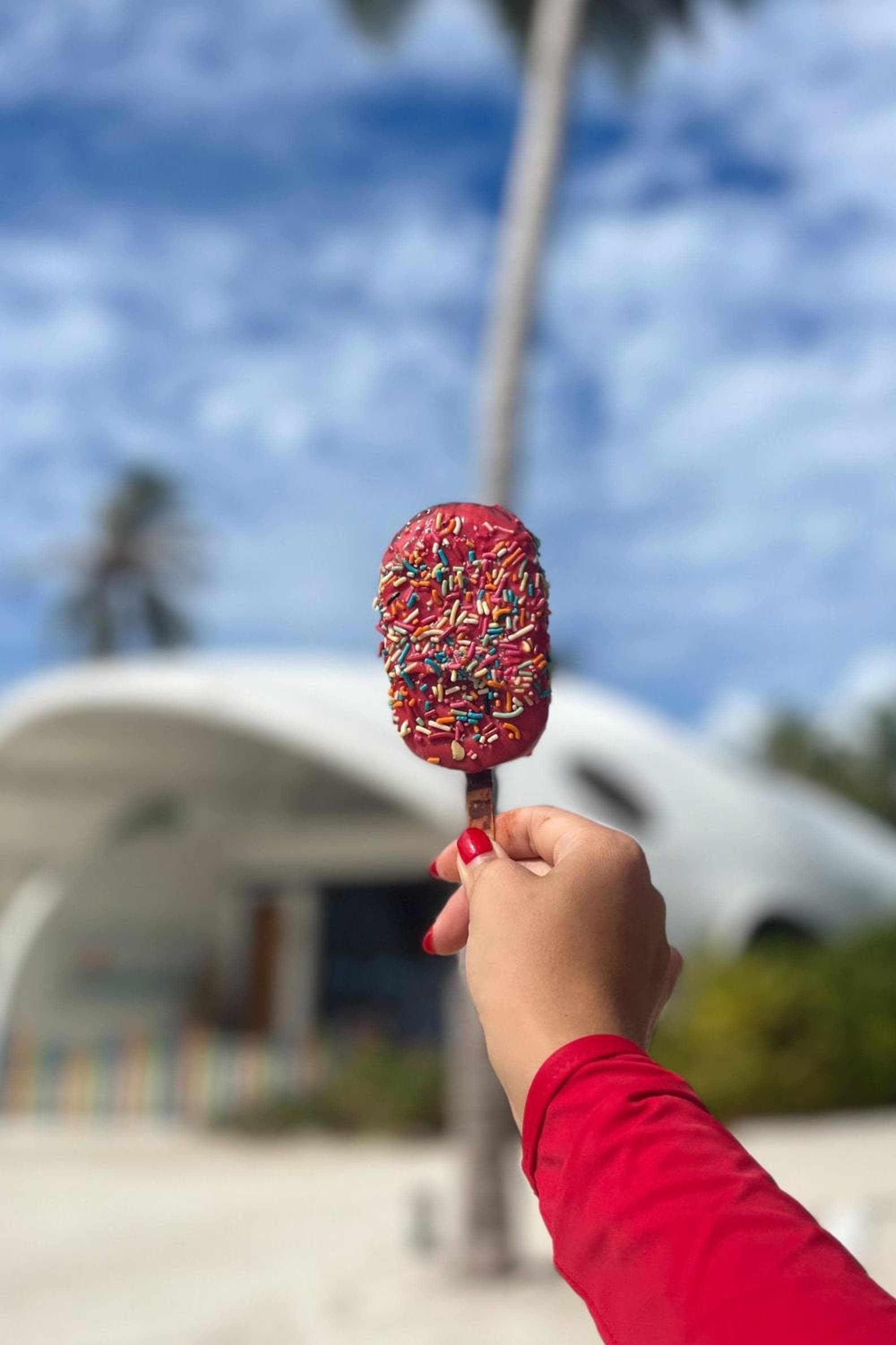 The Westin Maldives Miriandhoo Resort - View 23