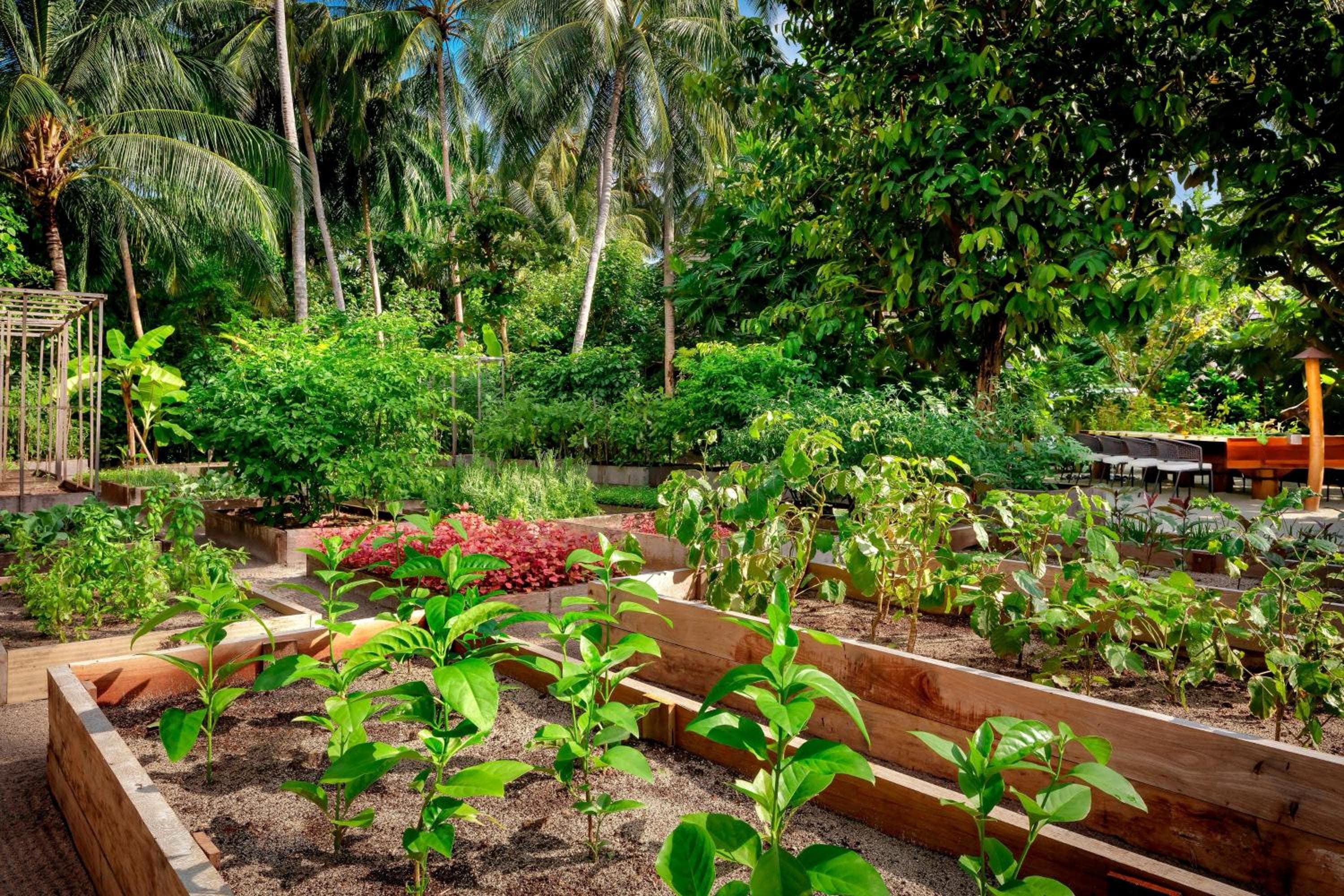 The St. Regis Maldives Vommuli Resort - View 121