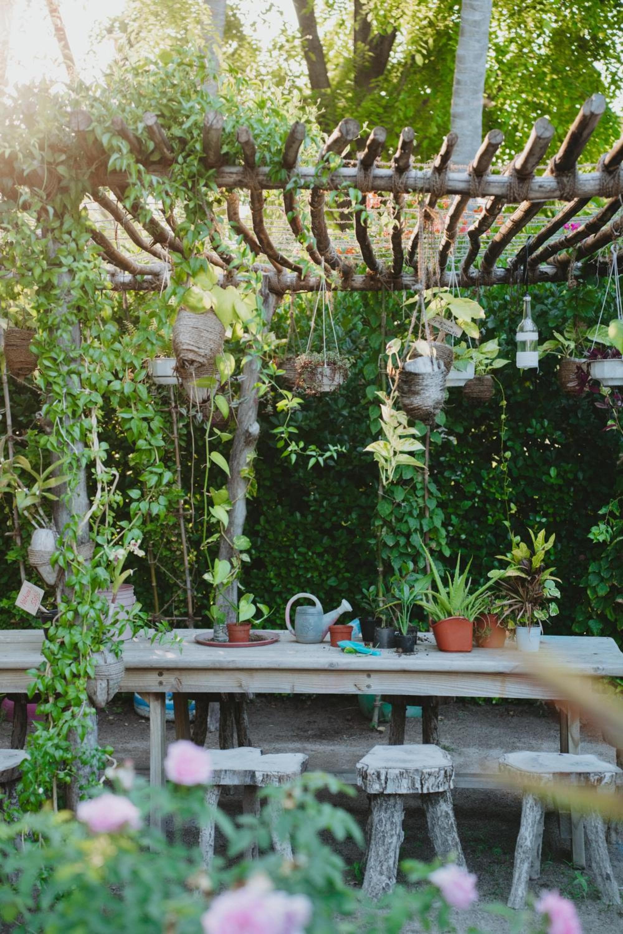 Villa Park Sun Island Resort - View 50