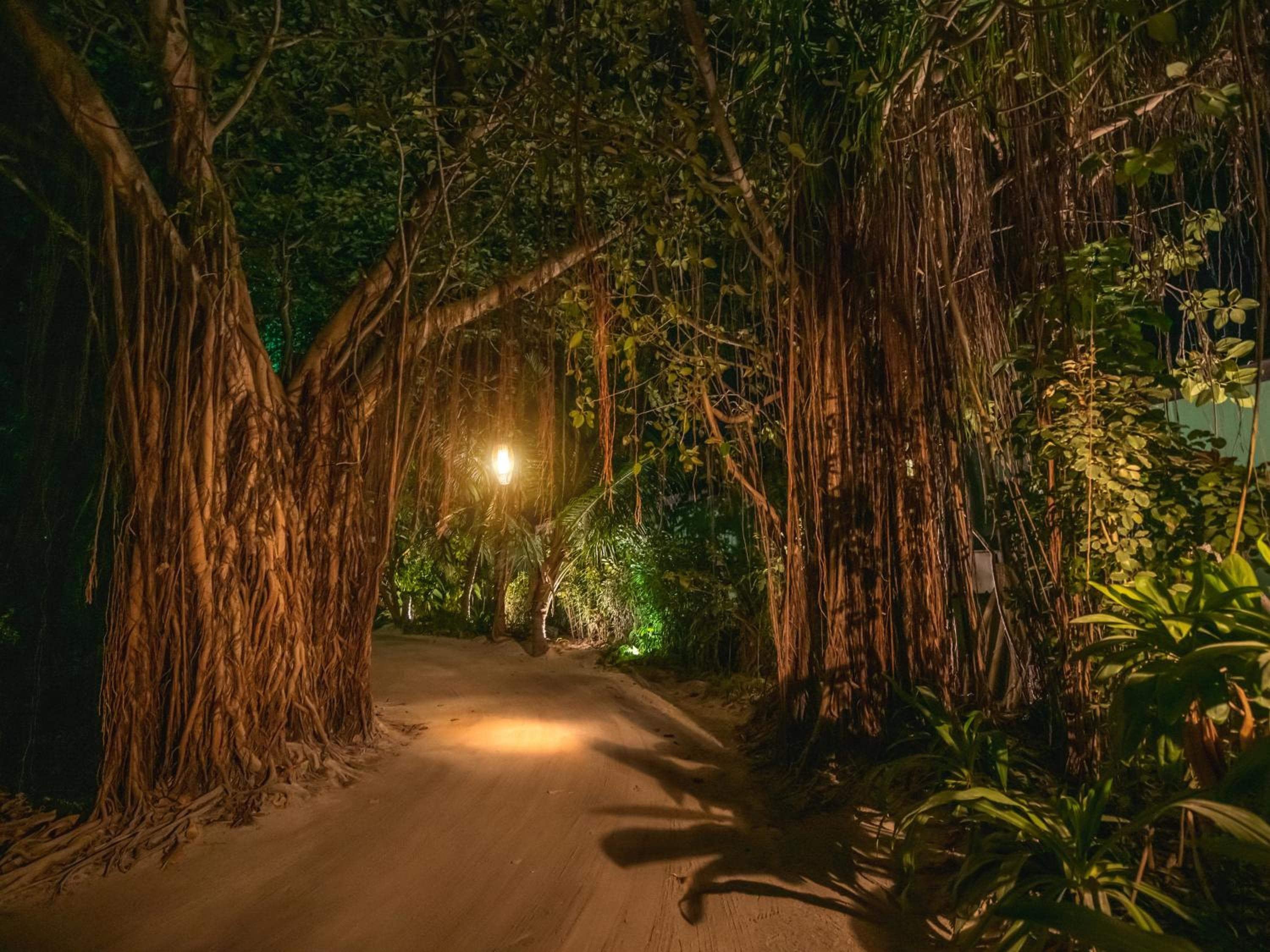 Sun Siyam Iru Fushi with Free Transfer - View 157