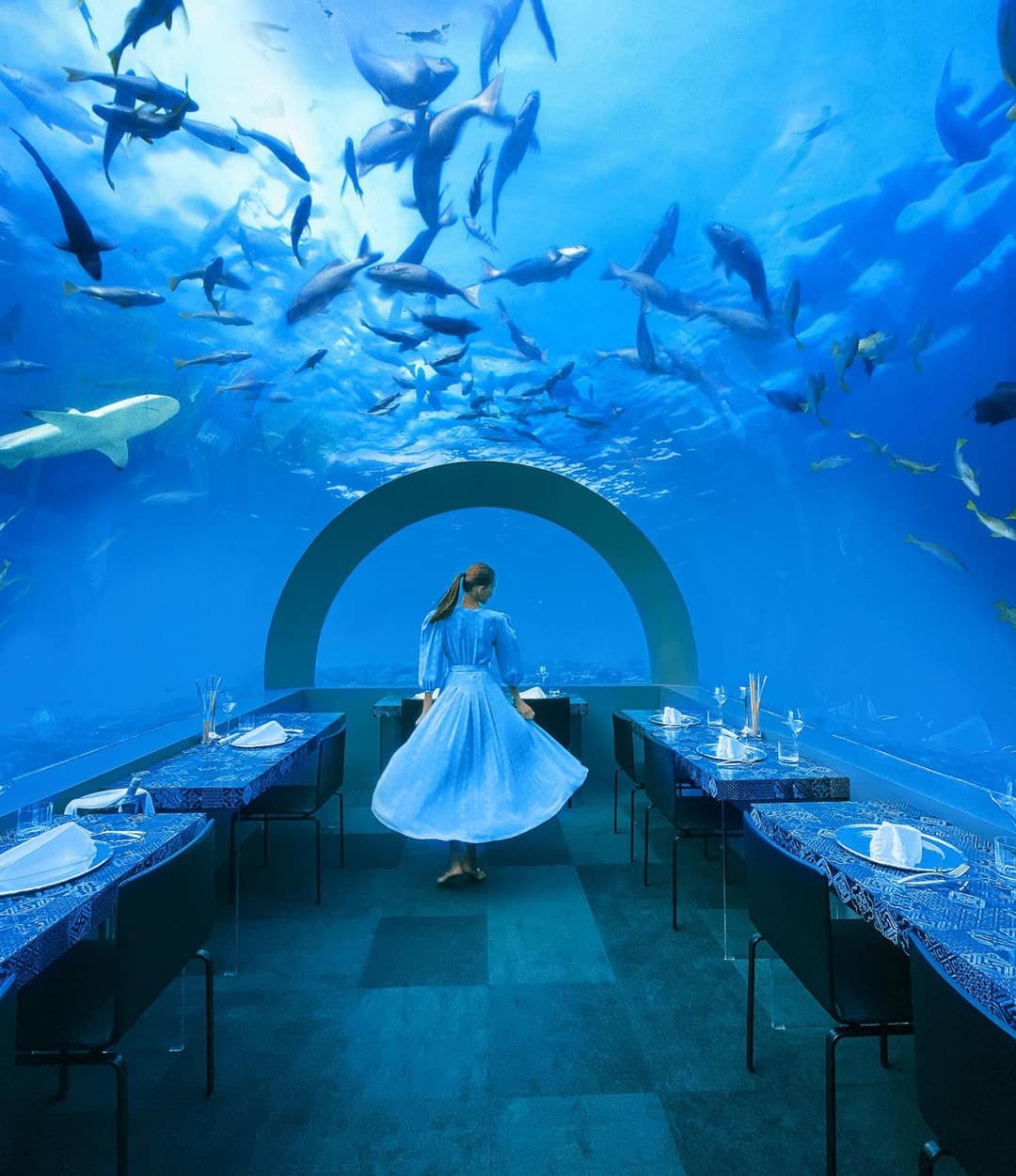 You & Me Maldives - Adults Only - Premium All-Inclusive - View 1