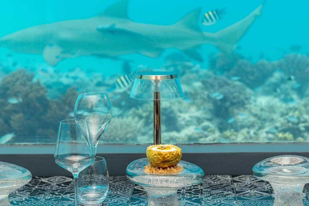 You & Me Maldives - Adults Only - Premium All-Inclusive - View 29