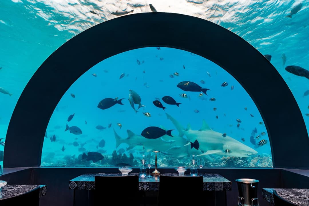 You & Me Maldives - Adults Only - Premium All-Inclusive - View 45