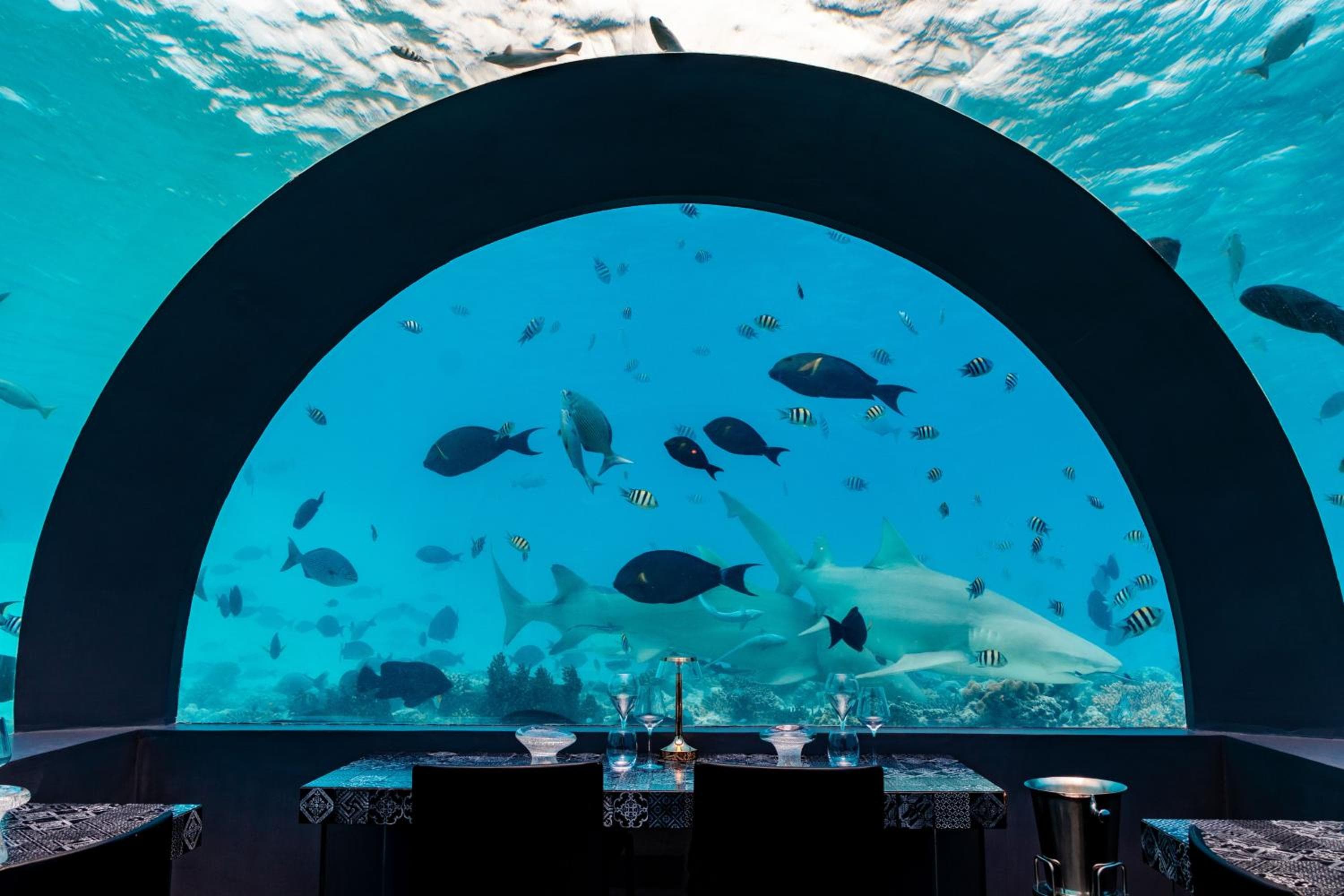 You & Me Maldives - Adults Only - Premium All-Inclusive - View 51