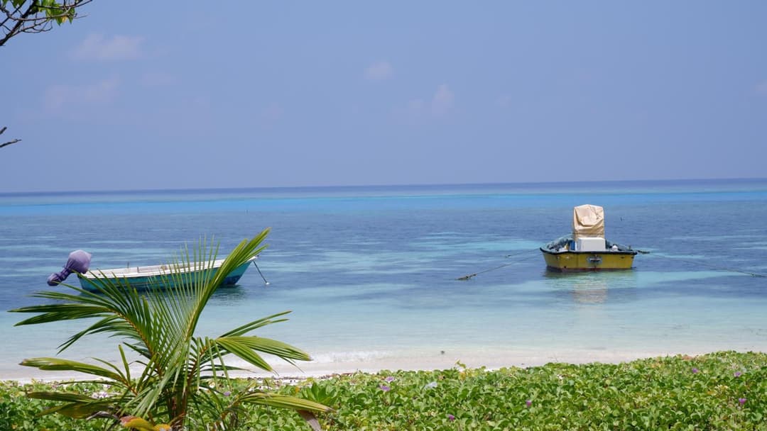One The Island - View 17
