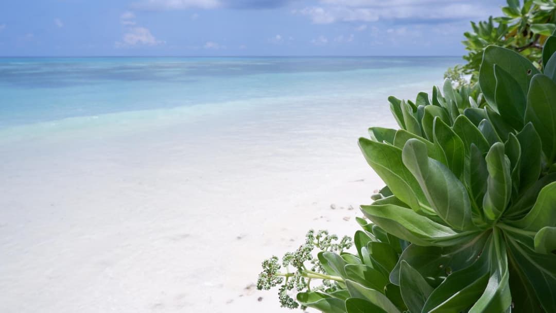 One The Island - View 26