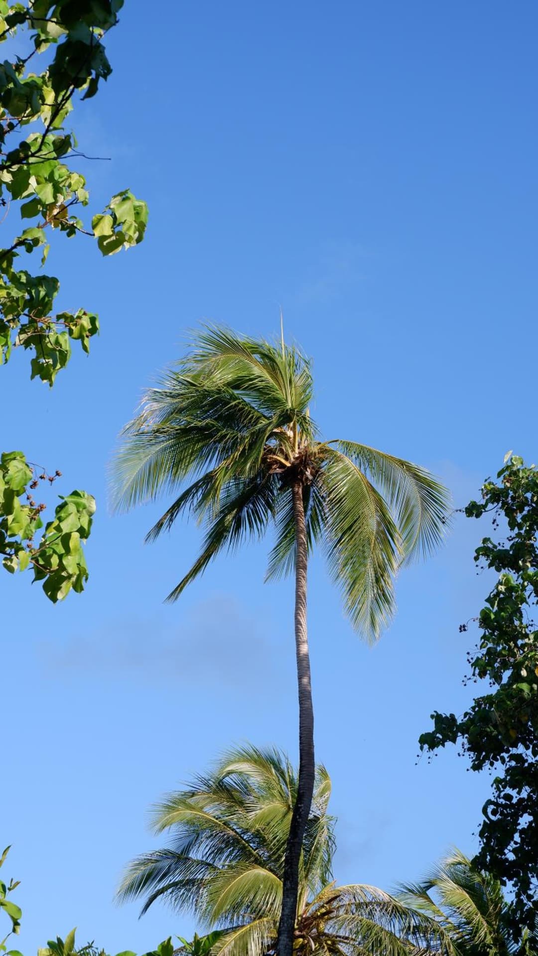One The Island - View 2
