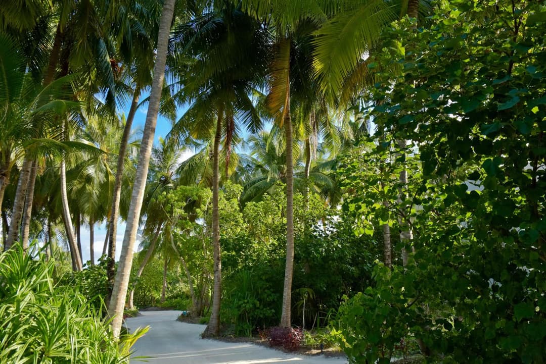 Kandima Maldives - 50 Percent Off Return Domestic Flights for stays of 4 nights or more between 11th April 2026 to 31st October 2026 - View 42
