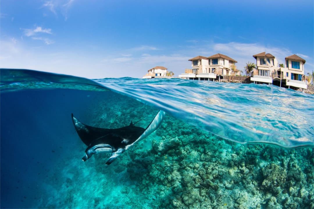 Intercontinental Maldives Maamunagau Resort with Club benefits by IHG - View 38