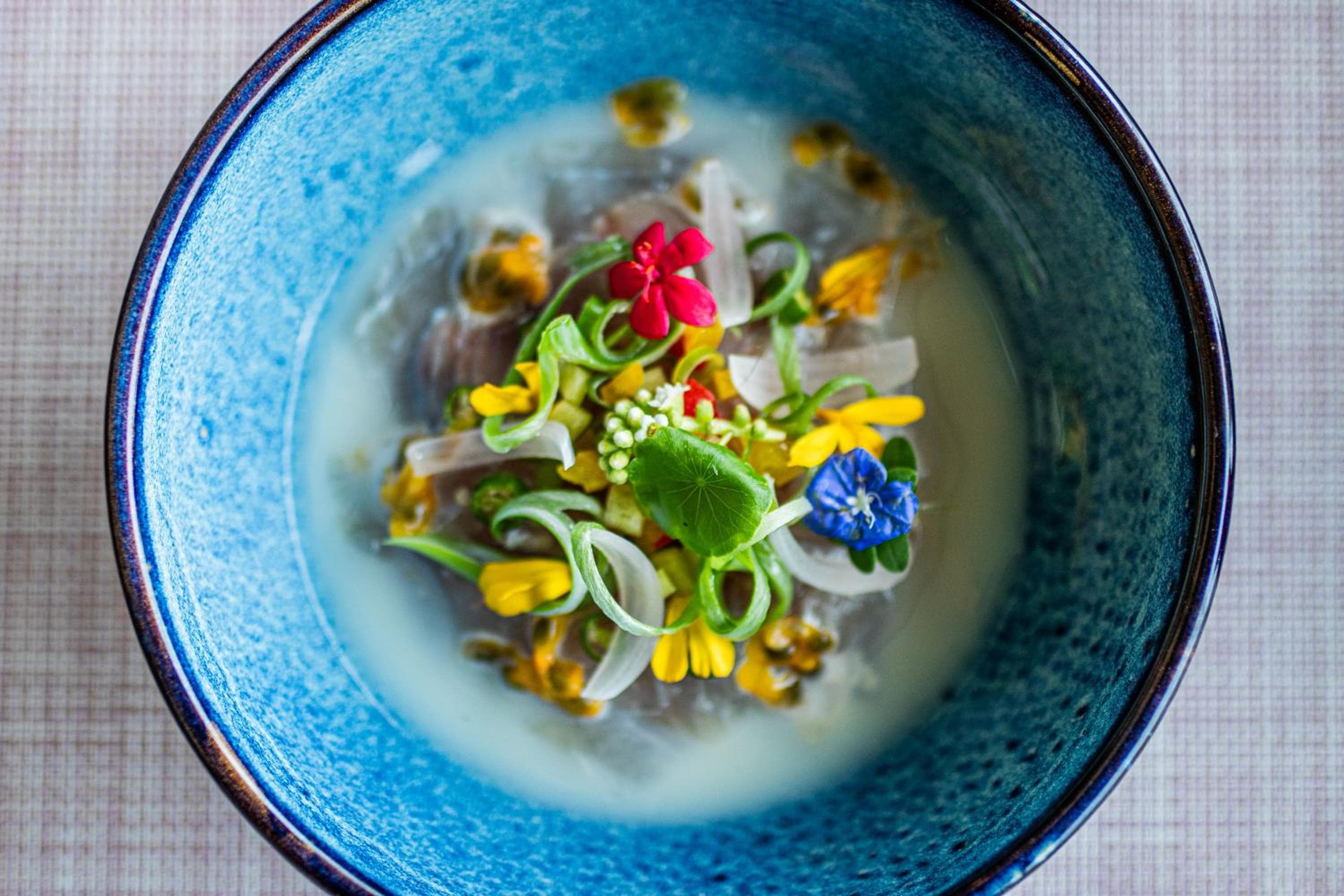 Barceló Whale Lagoon Maldives - View 18