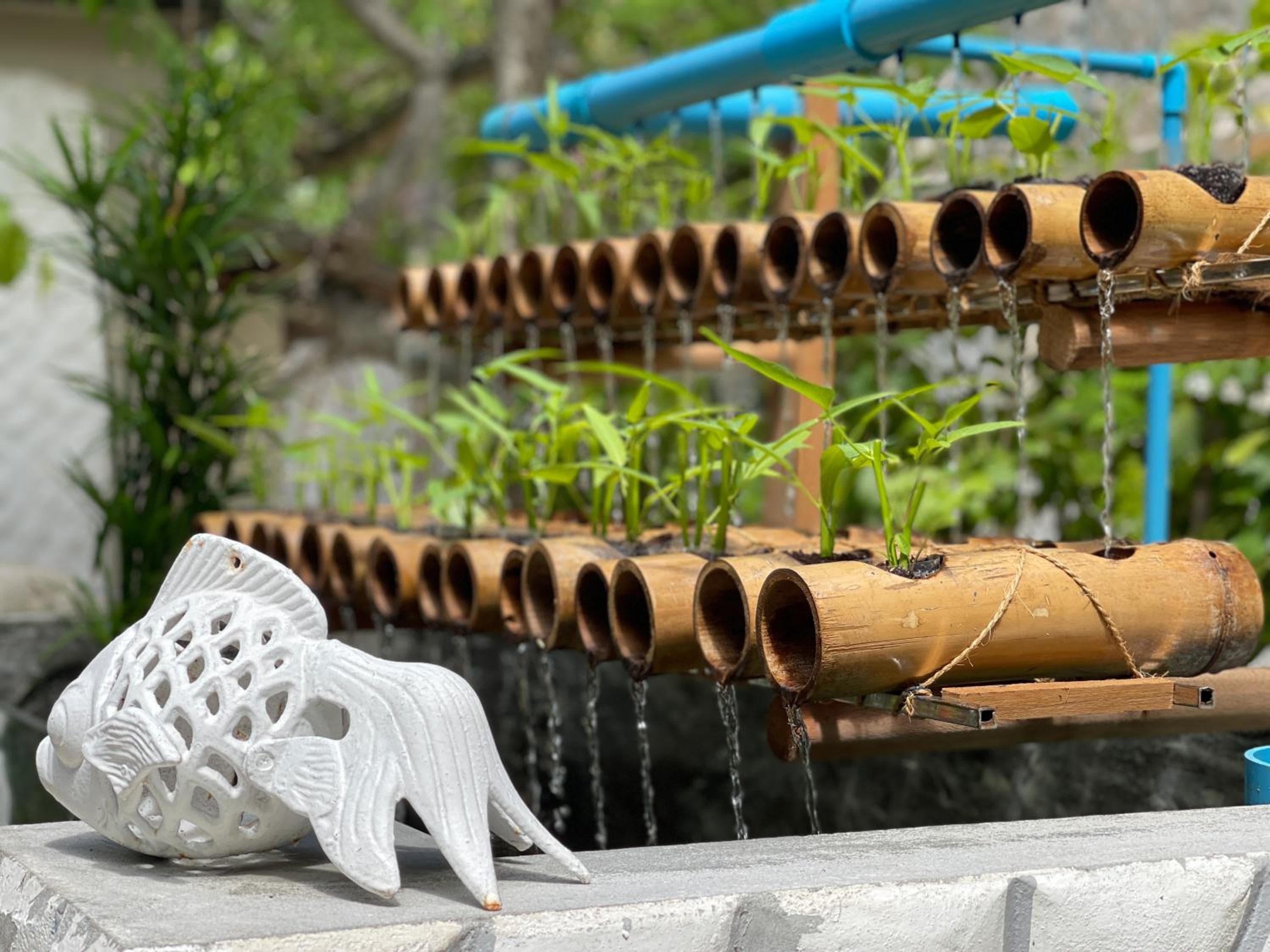 Nika Island Resort & Spa, Maldives - View 15