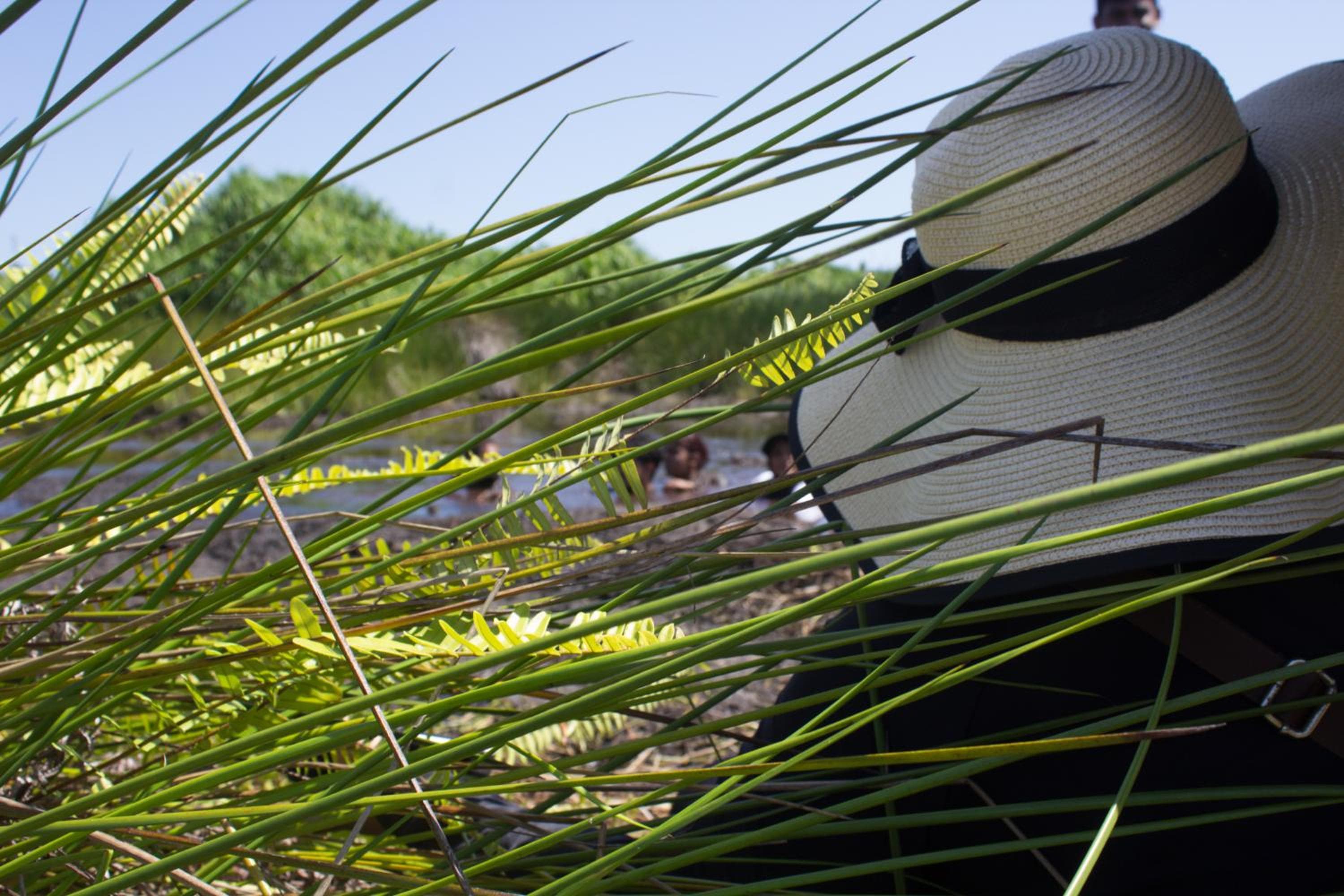 Silver County Hotel, Fuvahmulah - Maldives - View 19