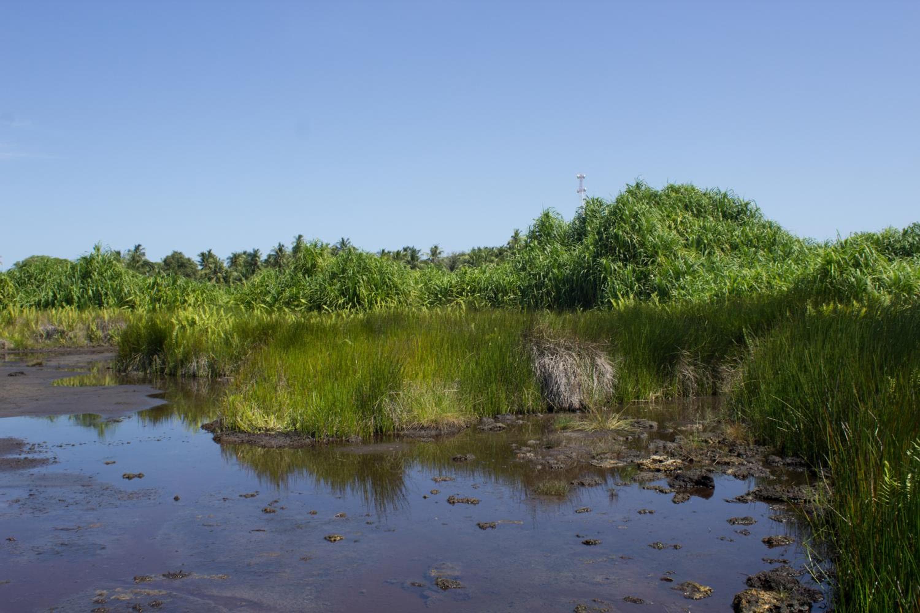 Silver County Hotel, Fuvahmulah - Maldives - View 23