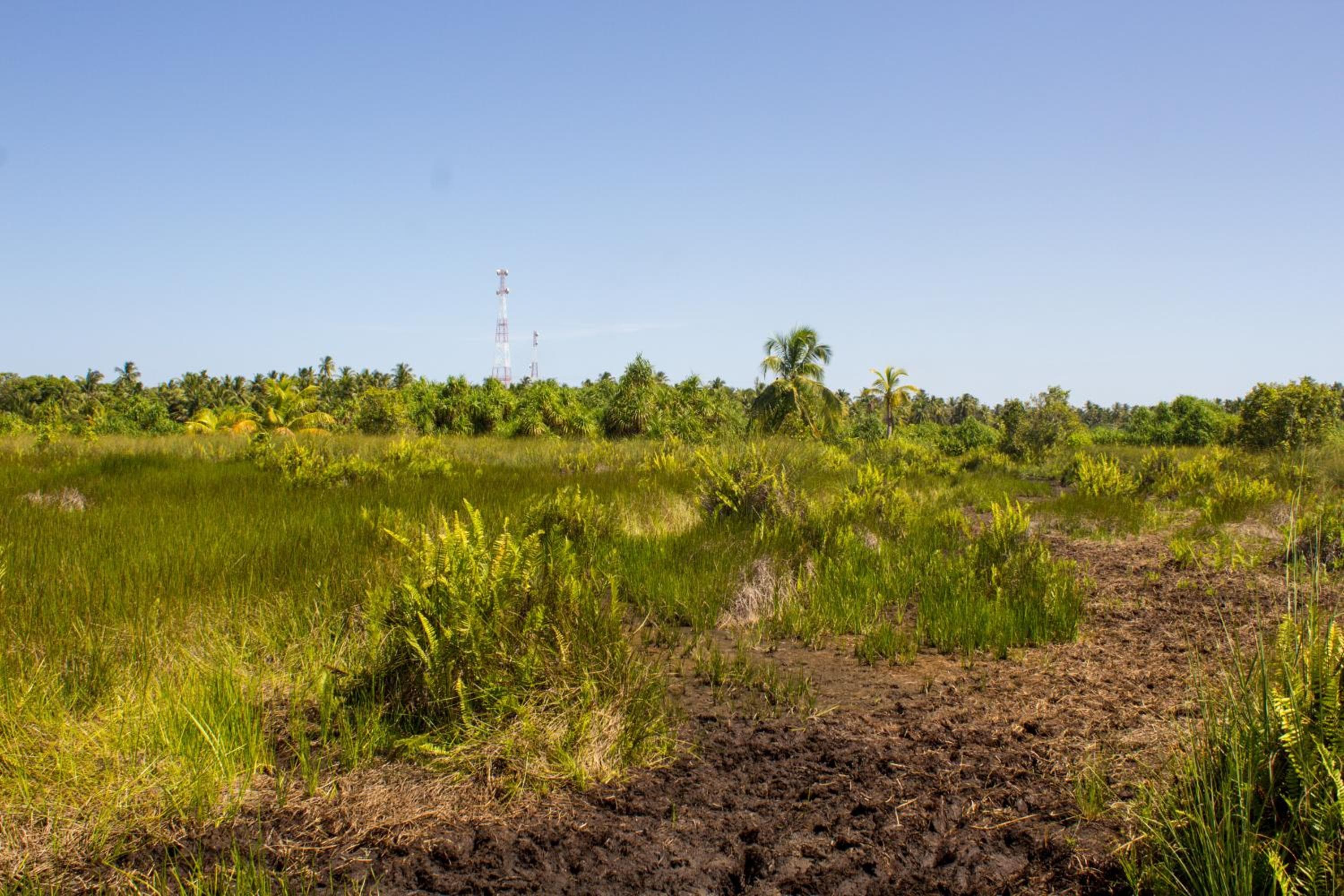 Silver County Hotel, Fuvahmulah - Maldives - View 24
