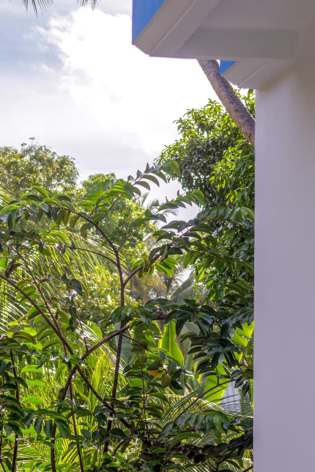 Silver County Hotel, Fuvahmulah - Maldives - View 16