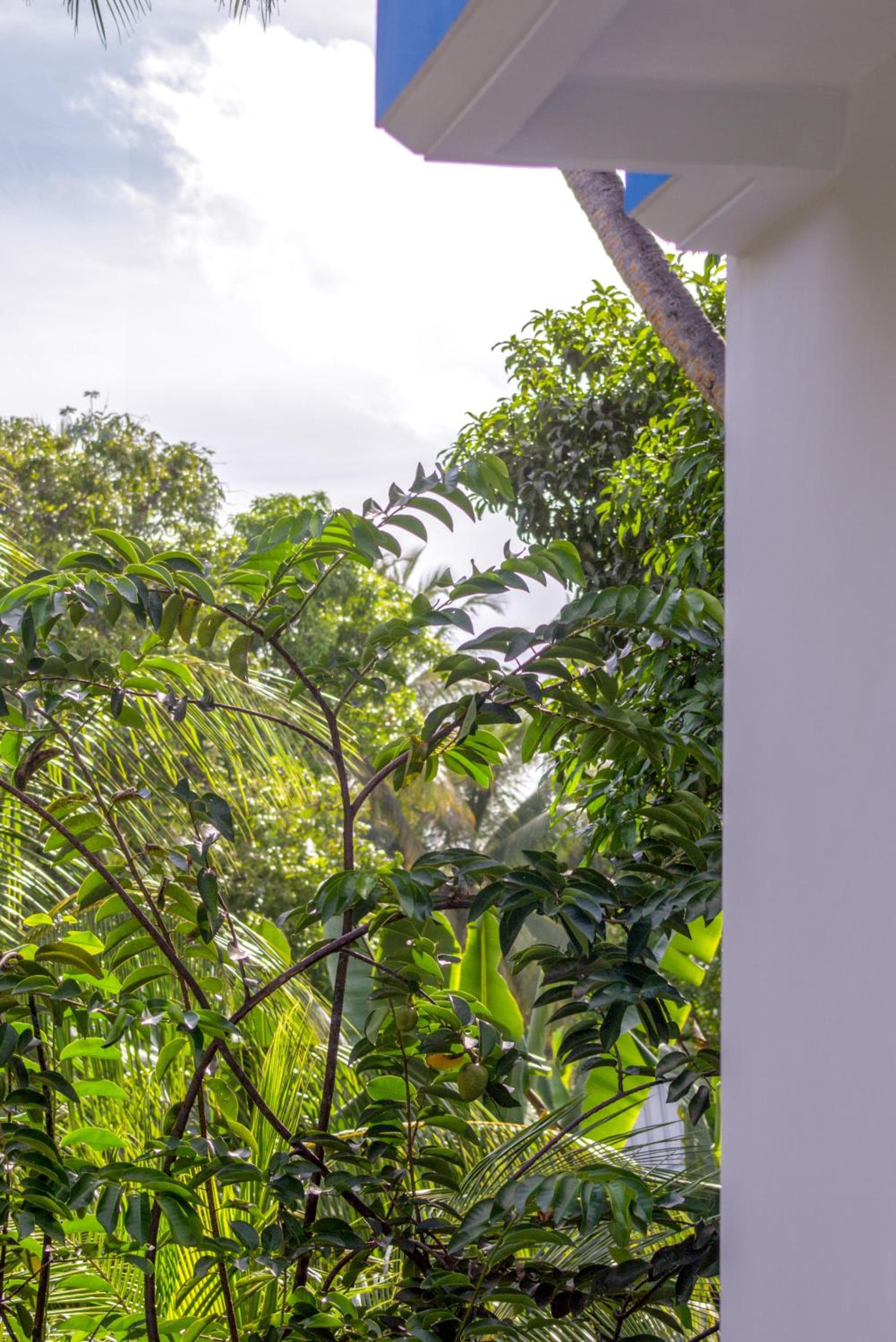 Silver County Hotel, Fuvahmulah - Maldives - View 6