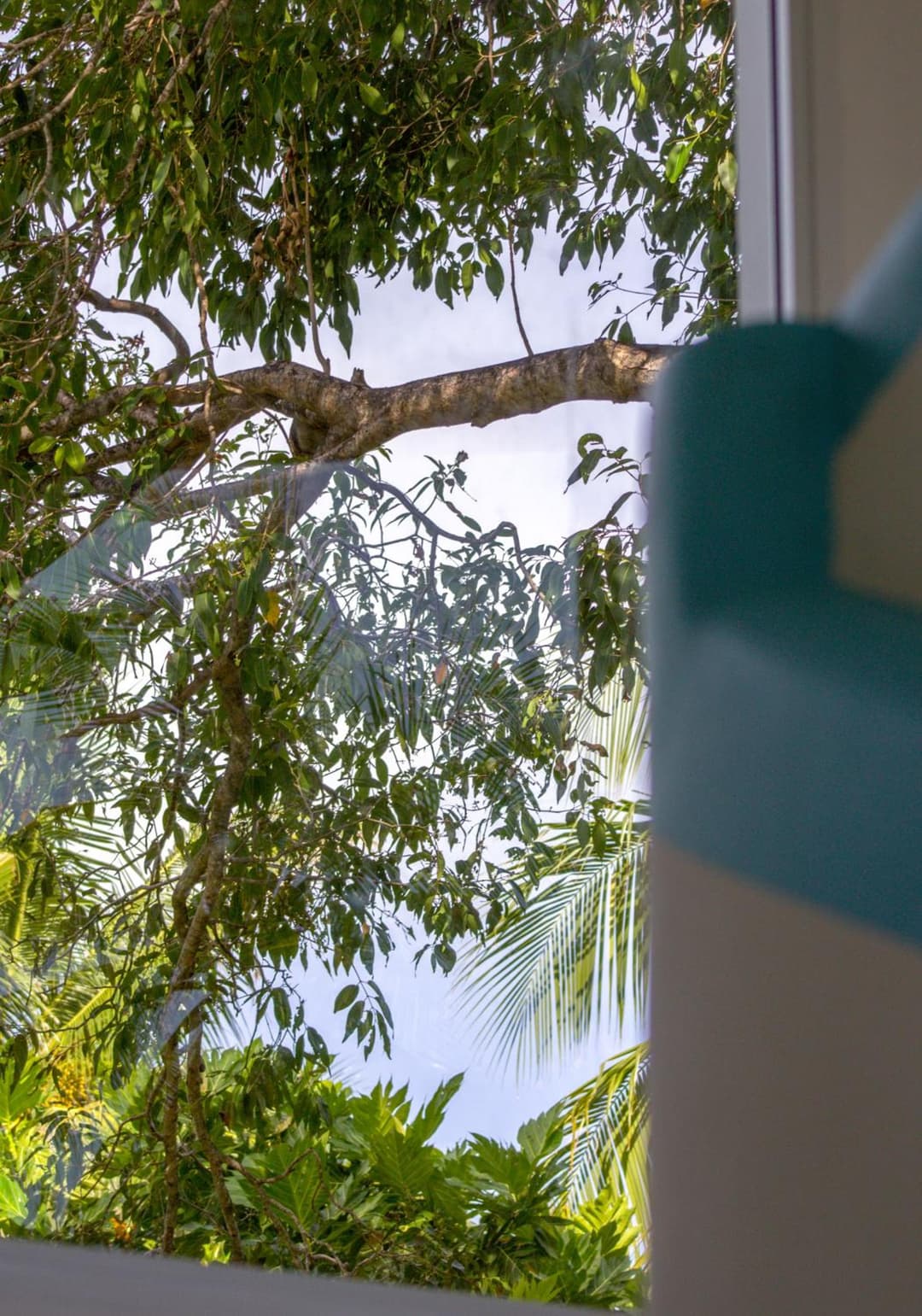 Silver County Hotel, Fuvahmulah - Maldives - View 13