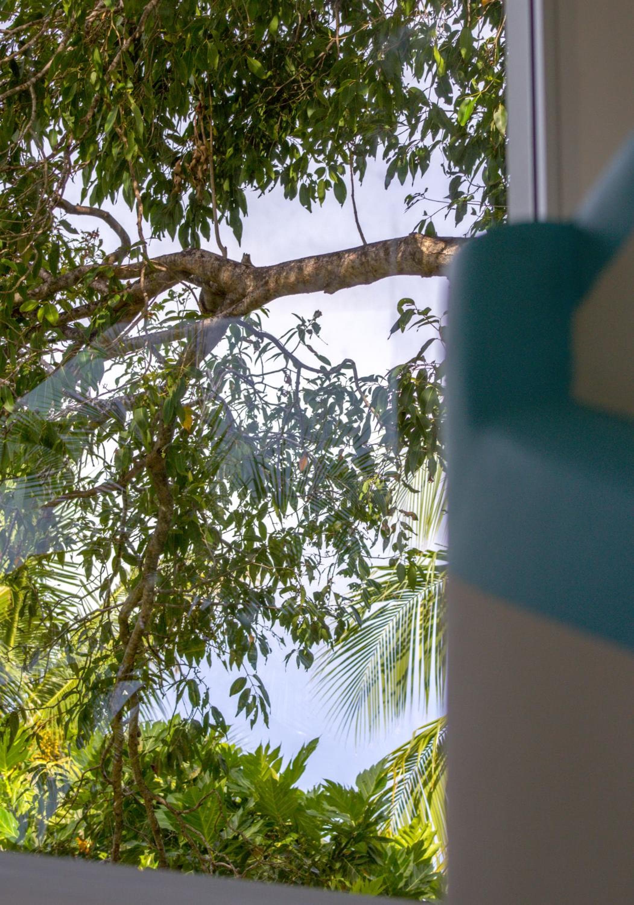 Silver County Hotel, Fuvahmulah - Maldives - View 4