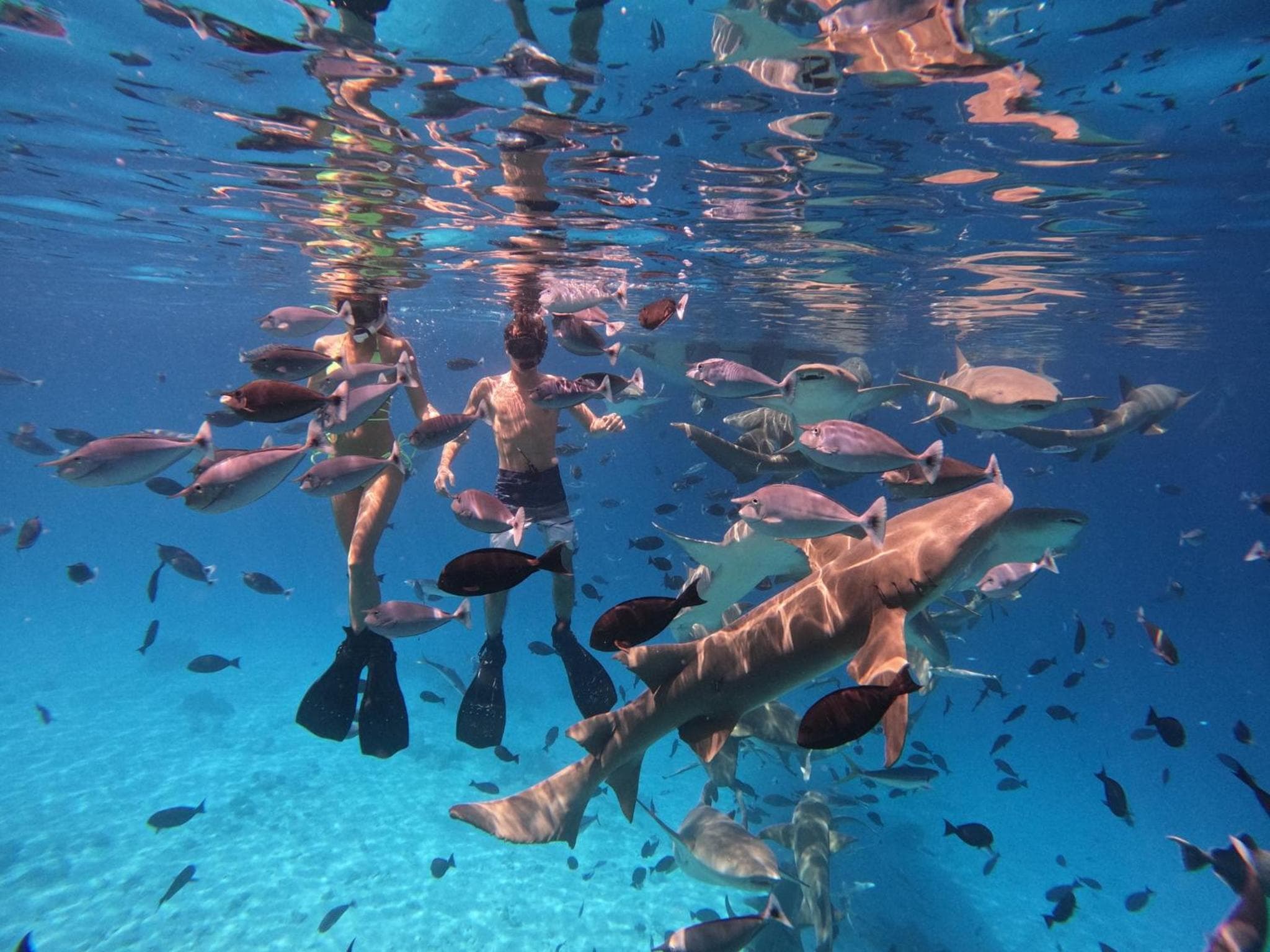 Kaani Village & Spa - View 2