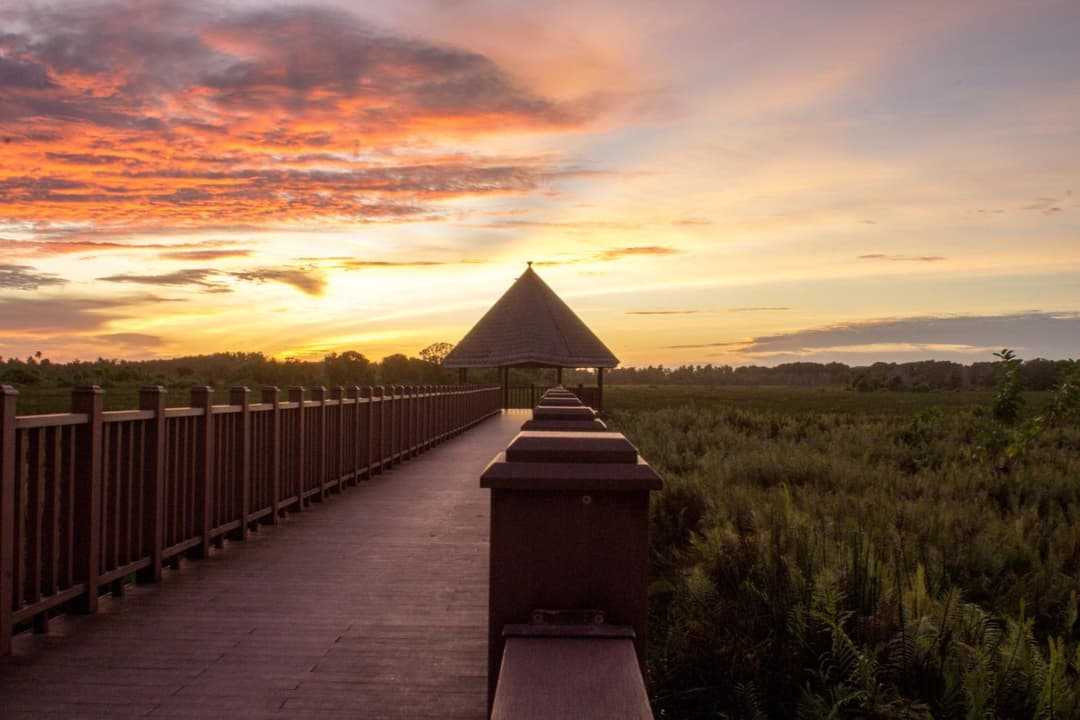 Silver County Hotel, Fuvahmulah - Maldives - View 7