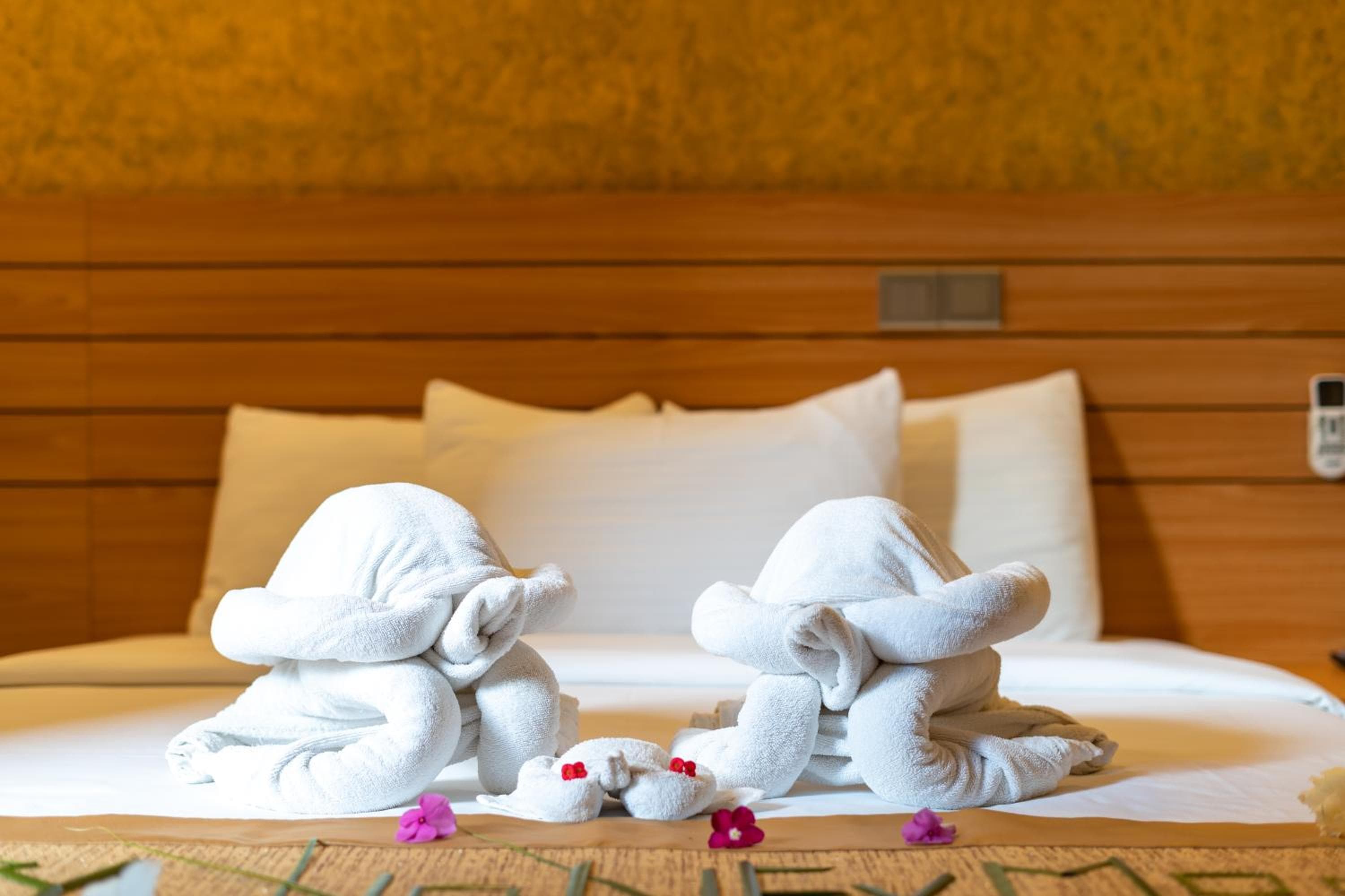 Nala Veli Beach & Spa - View 51