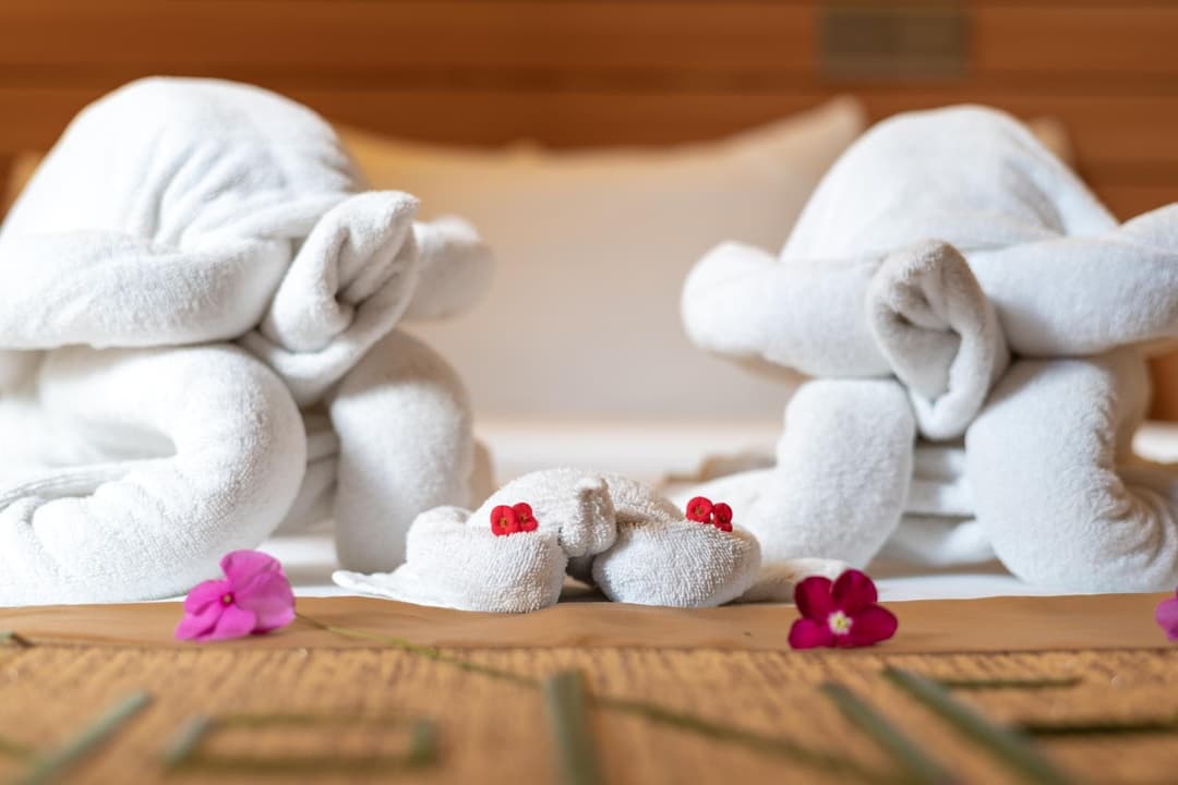 Nala Veli Beach & Spa - View 24