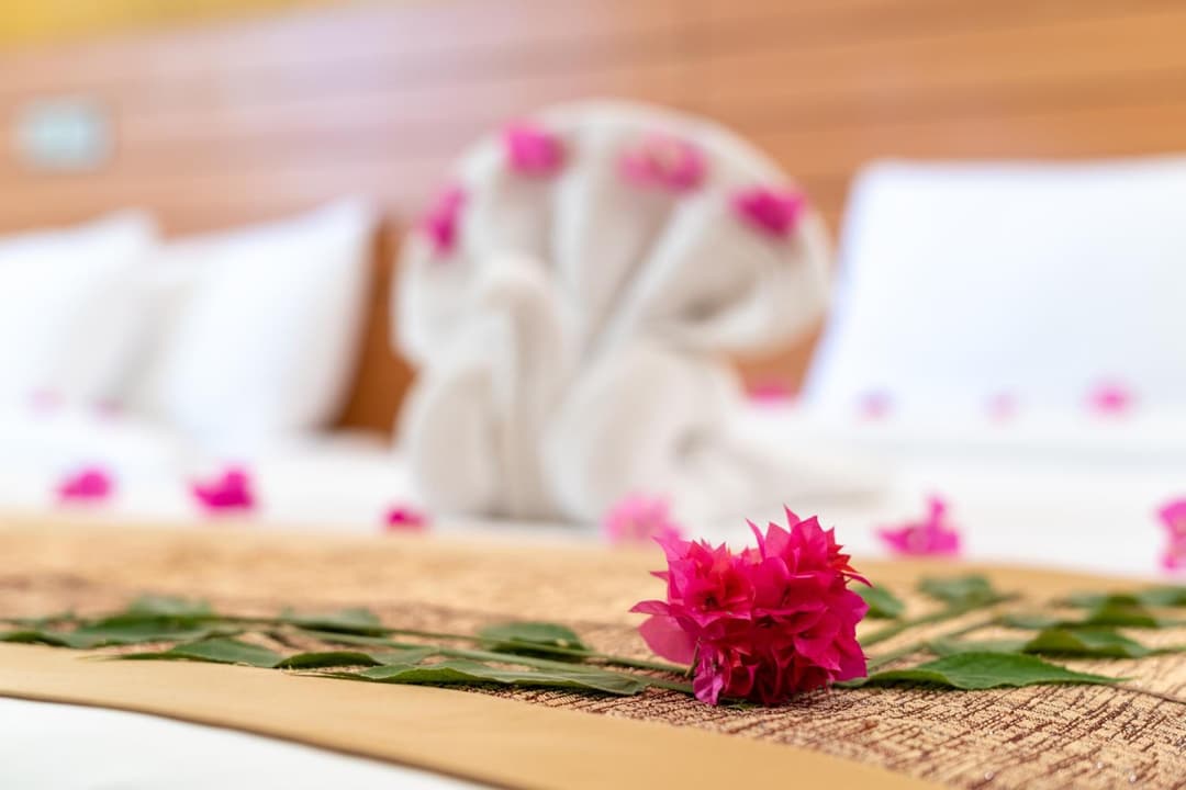 Nala Veli Beach & Spa - View 30
