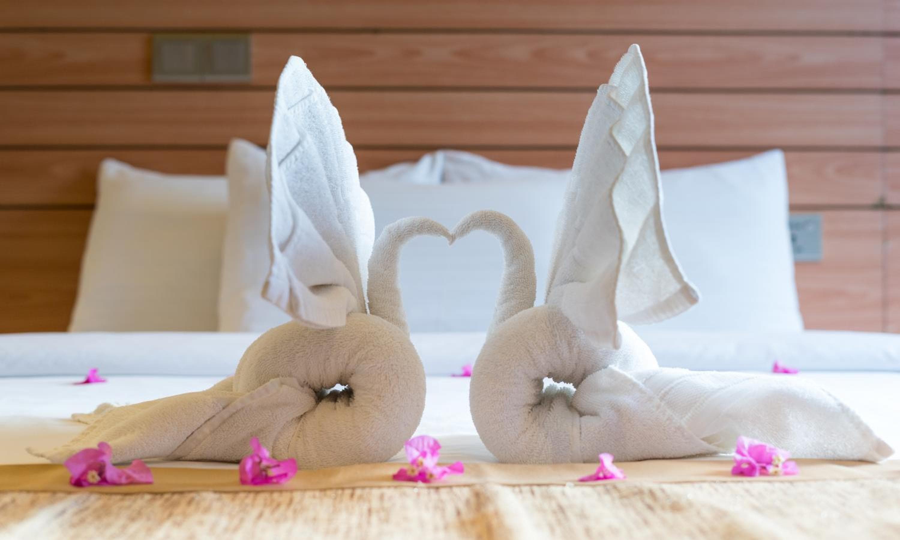 Nala Veli Beach & Spa - View 28