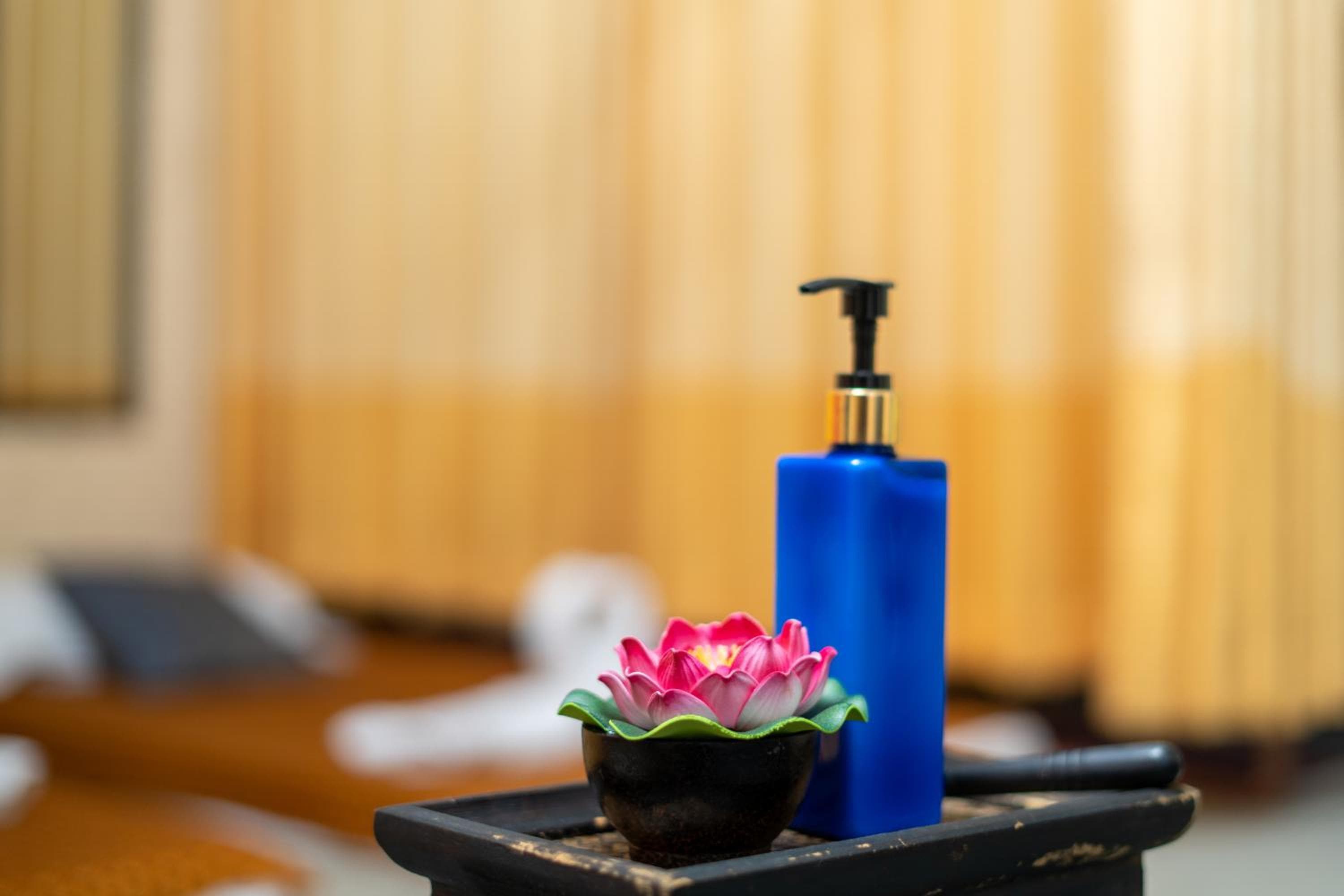 Nala Veli Beach & Spa - View 101