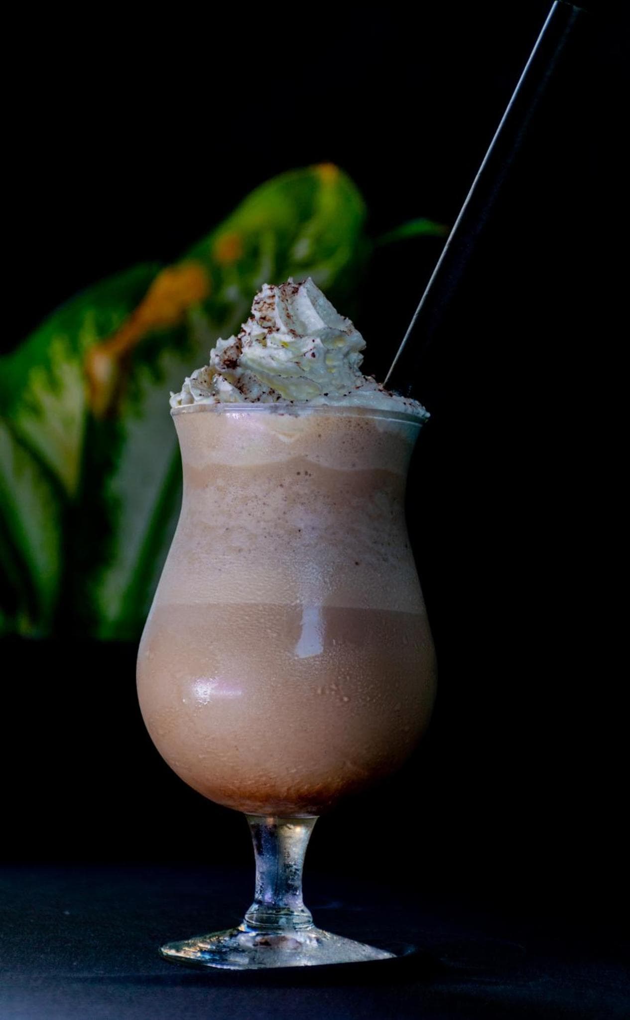 Maaniya Palace - View 21