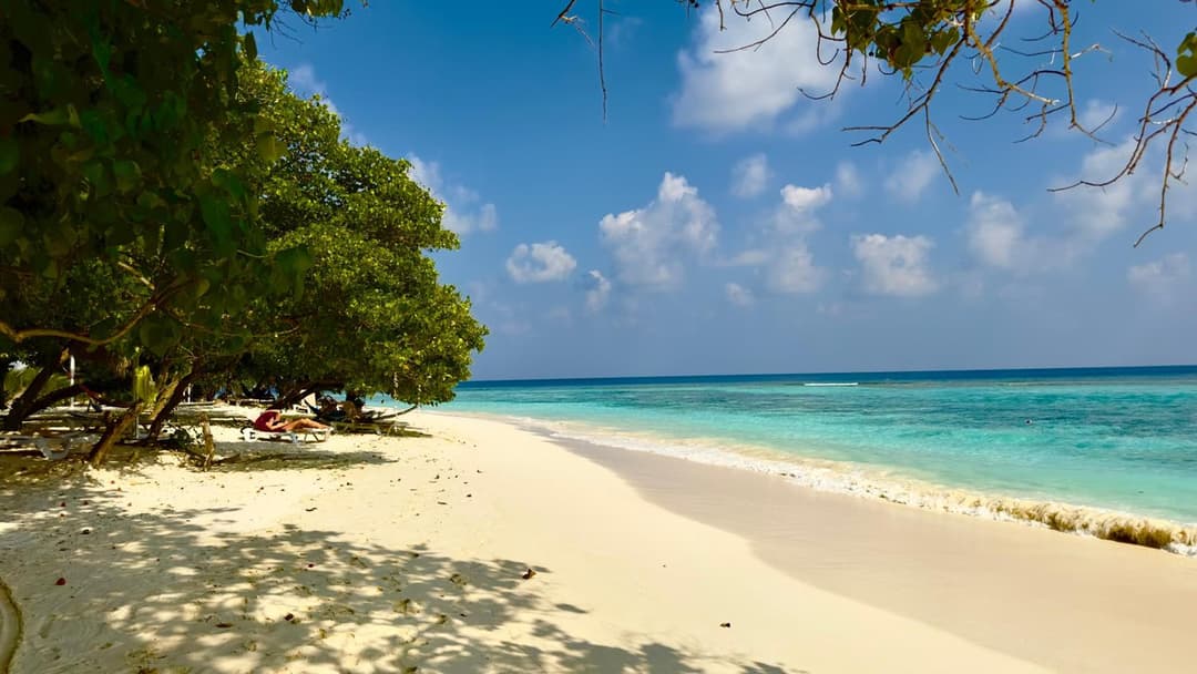 Beach Cottage - View 57