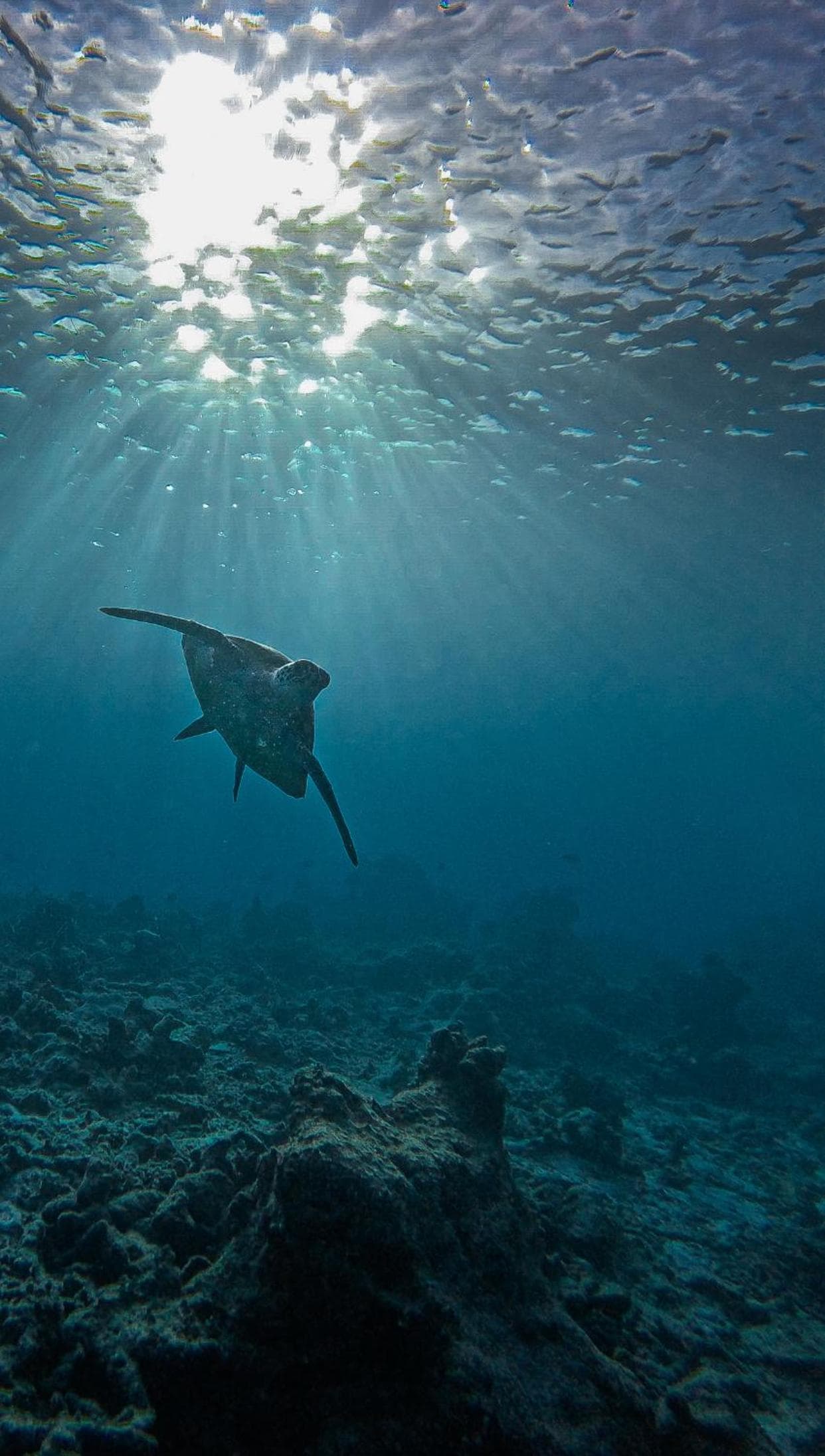 Summer Vibes Beach Front - View 210