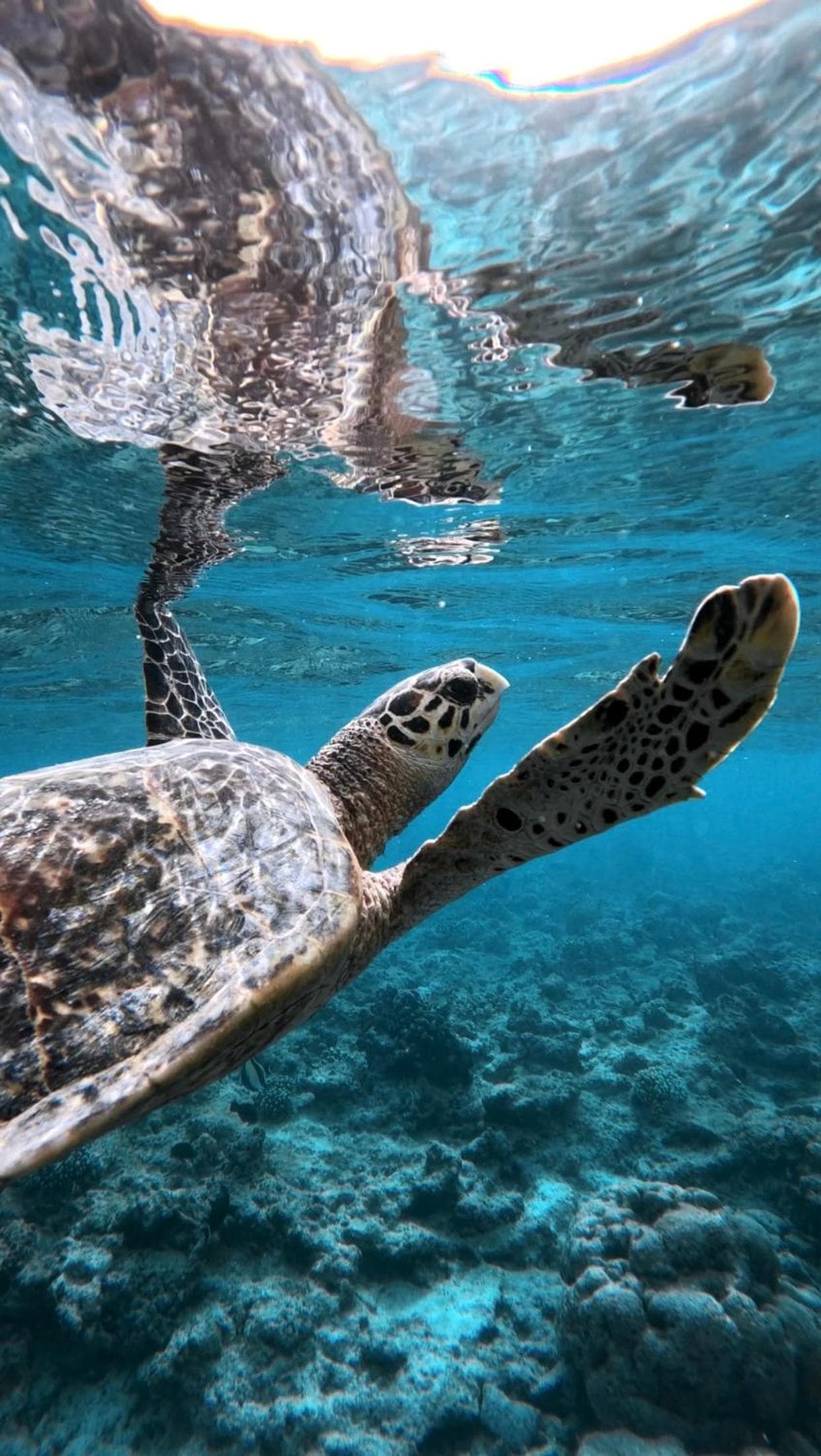 Summer Vibes Beach Front - View 208