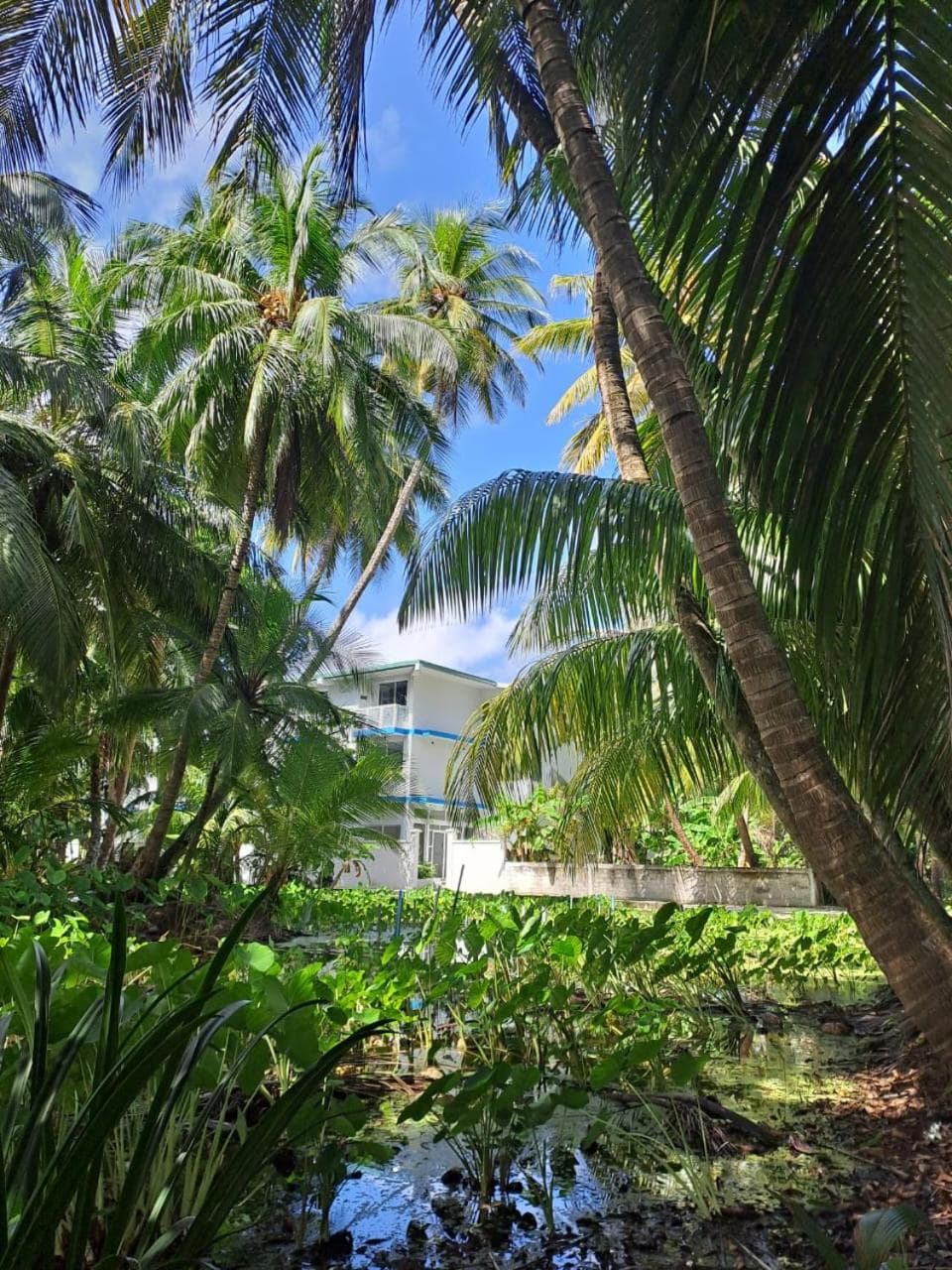 Silver County Hotel, Fuvahmulah - Maldives - View 12