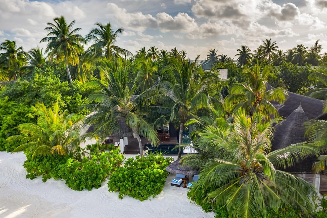 OZEN RESERVE BOLIFUSHI - Luxury All Inclusive with Free Transfers - View 50